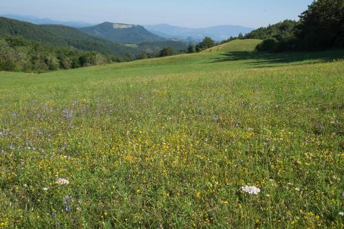 Holiday Home photo 3