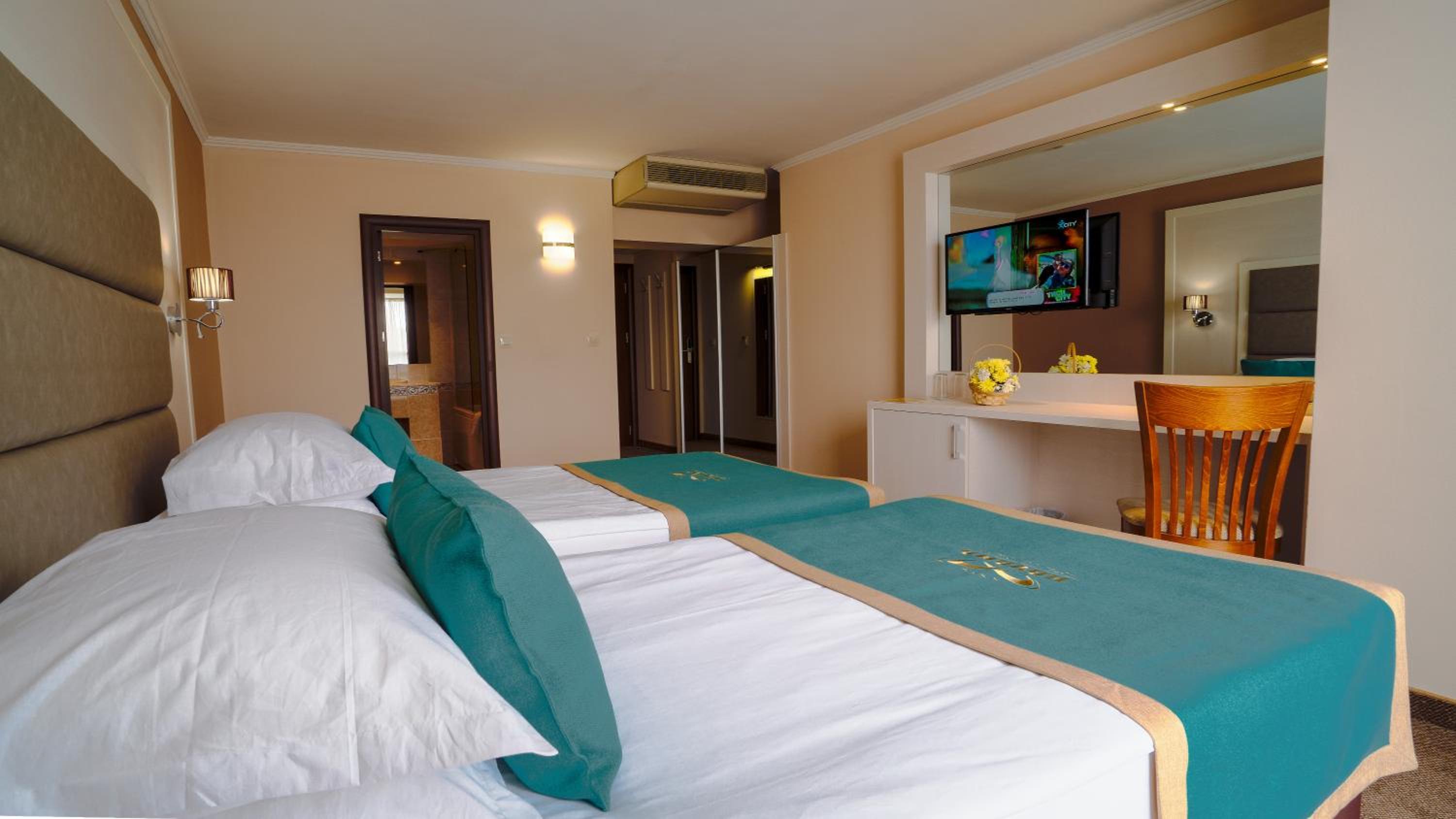 Double or Twin Room with Balcony and Park View photo 1