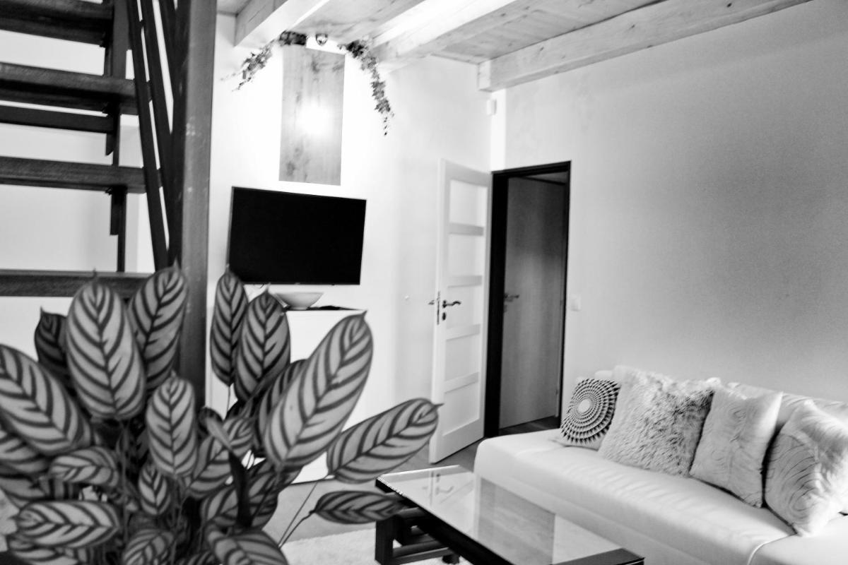 Deluxe Apartment - Photo 6