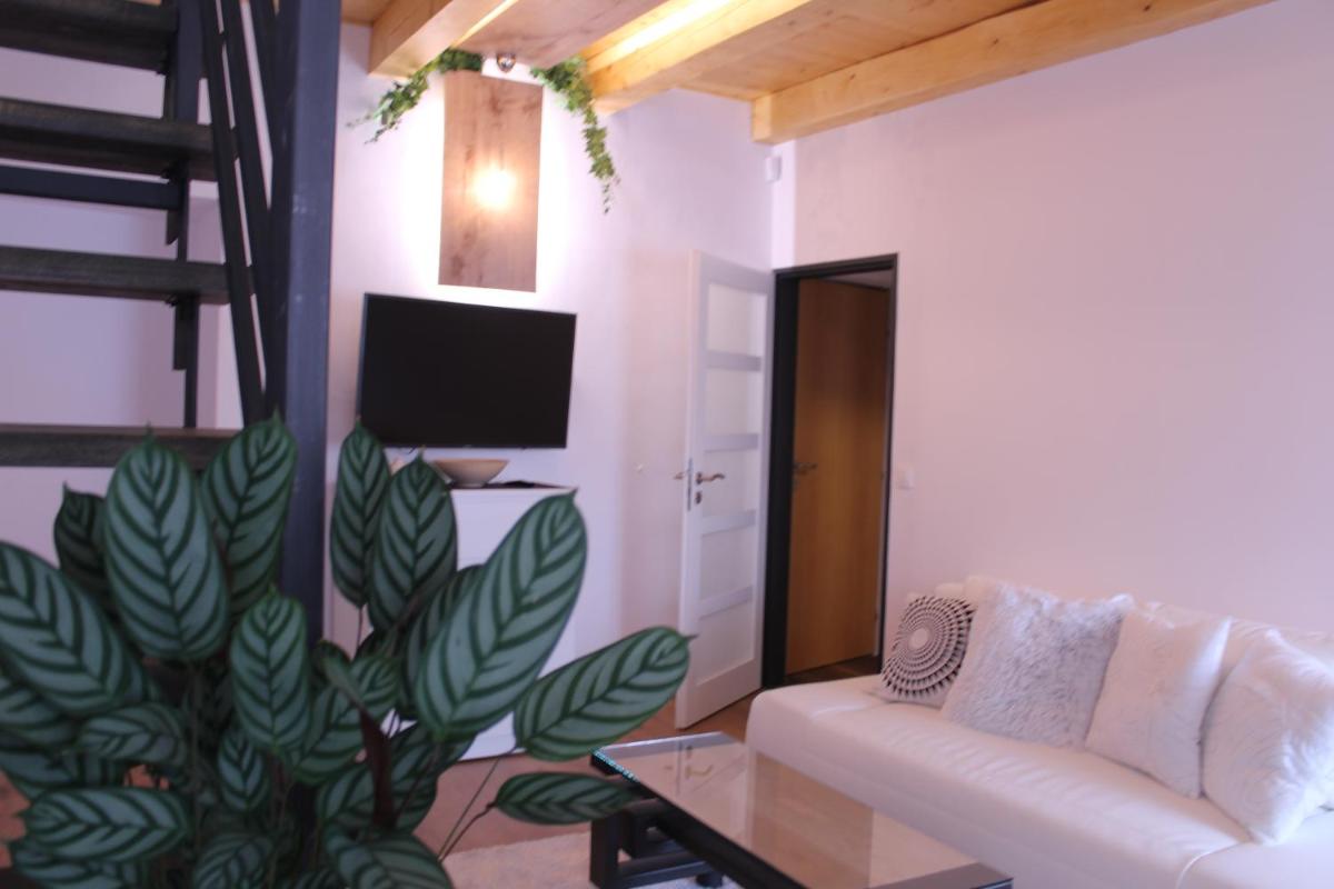 Deluxe Apartment - Photo 3
