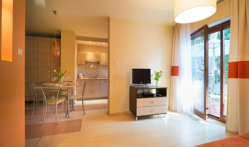 One-Bedroom Apartment photo 3