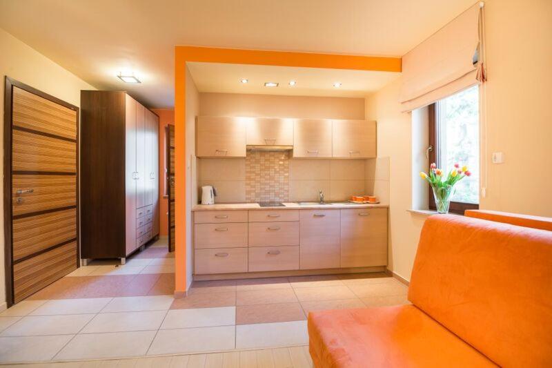 Apartment with Terrace photo 3