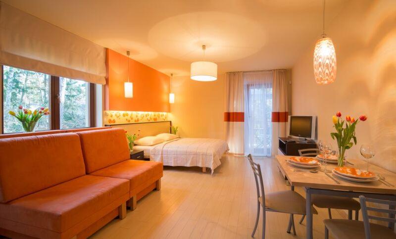Apartment with Terrace photo 2
