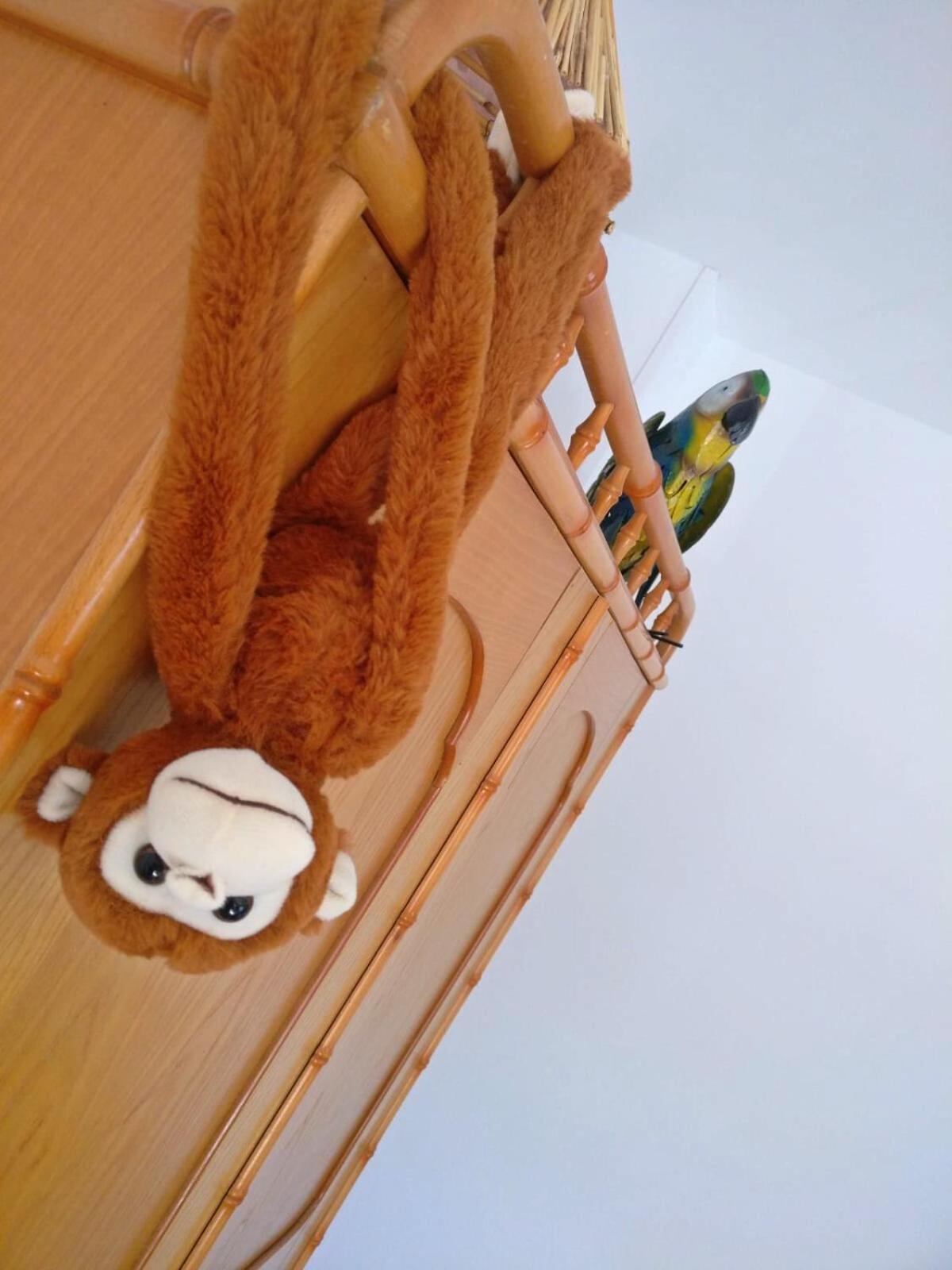 Double Room with Shared Bathroom photo 3