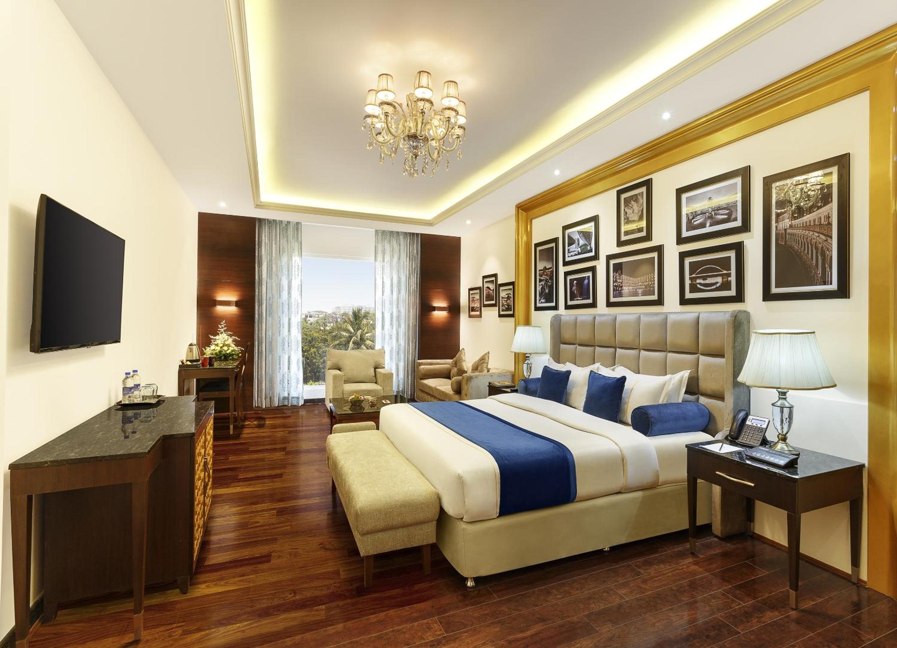 Suite - Photo 5