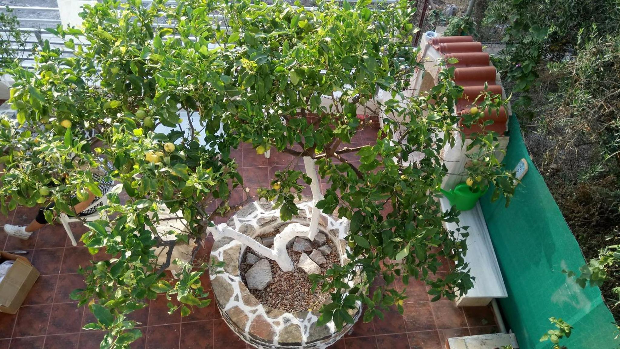 Apartment - Split Level - Photo 13