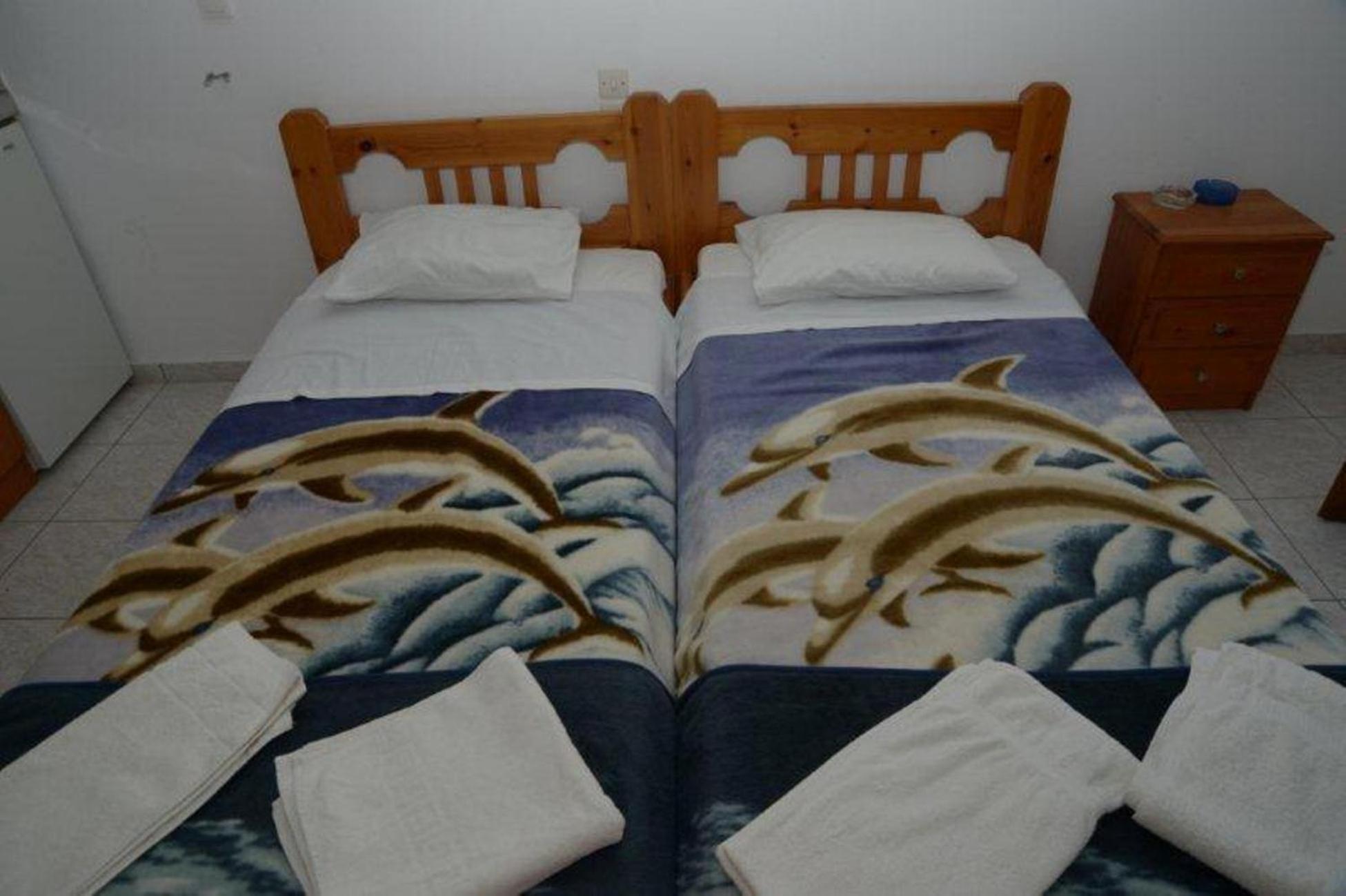 Double or Twin Room photo 1