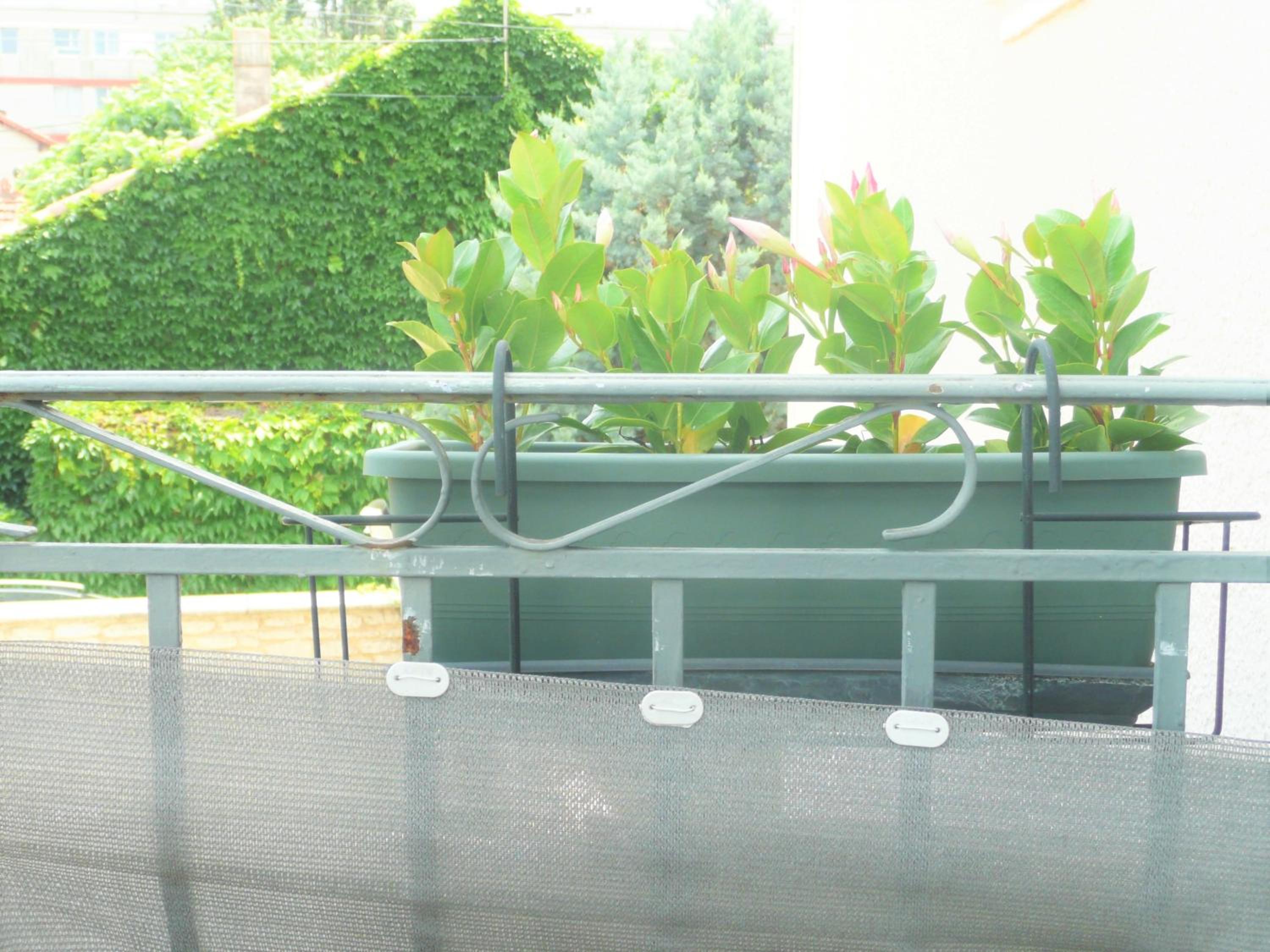 Studio with Balcony