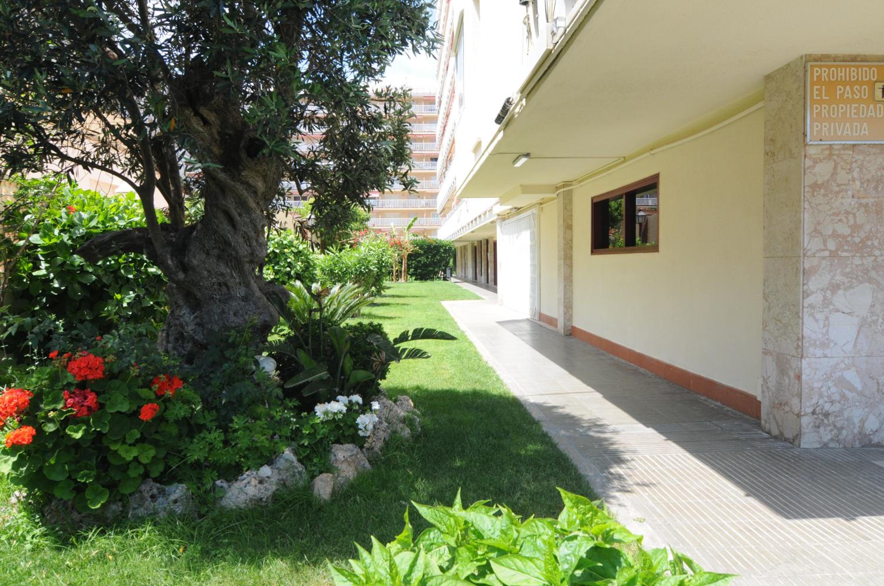 Apartment with Pool View  photo 2