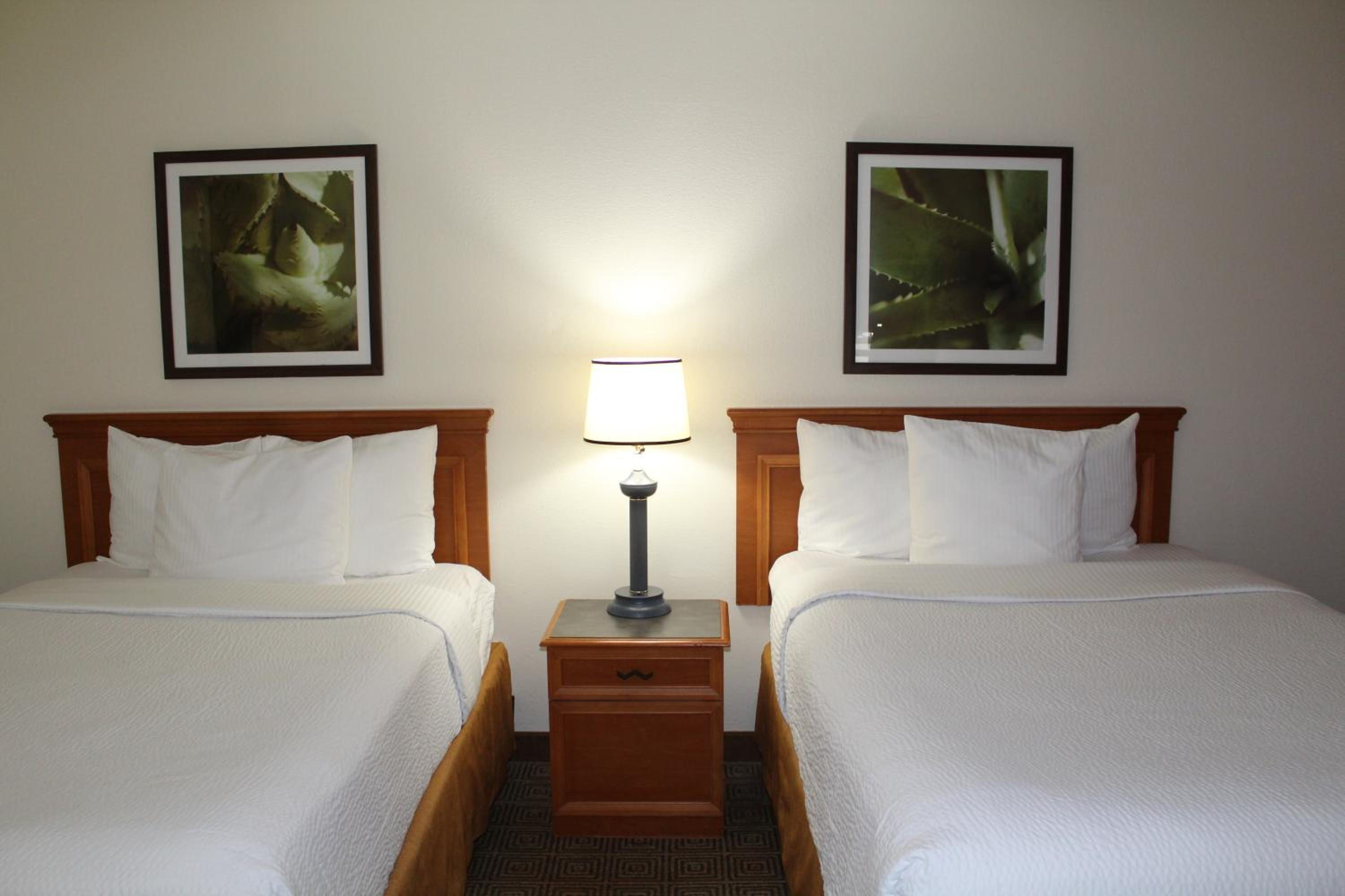 Double Room with Two Double Beds - Photo 6