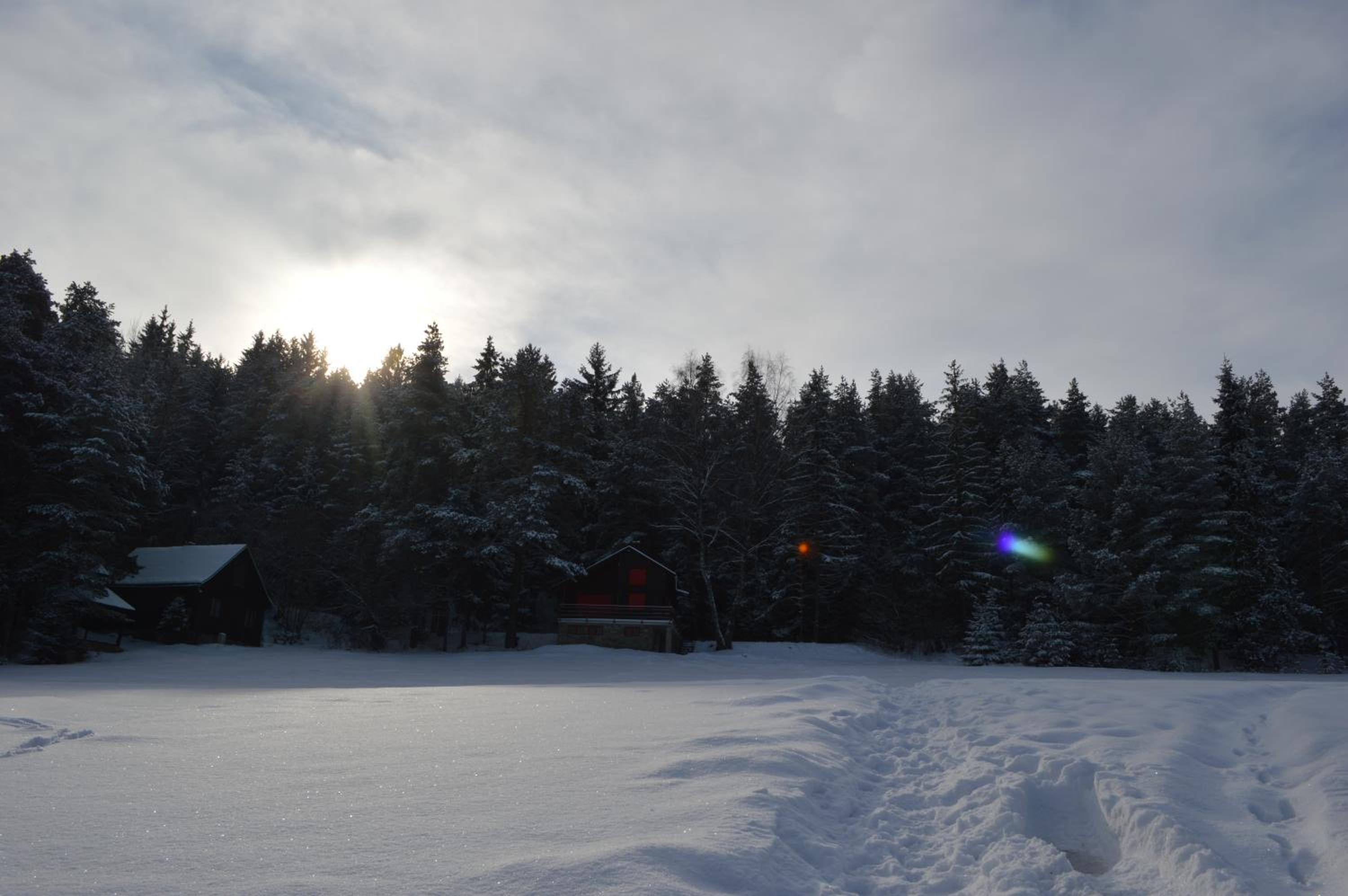 Cottage photo 3