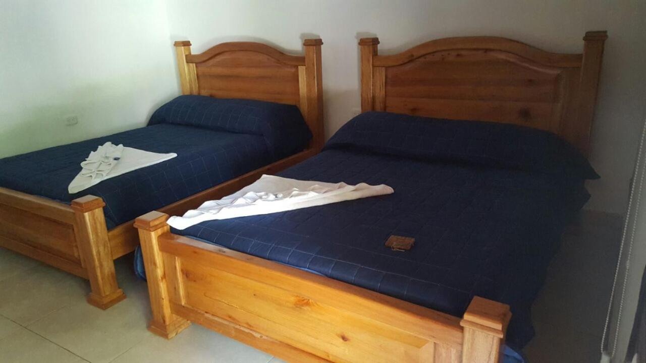 Deluxe Twin Room photo 1