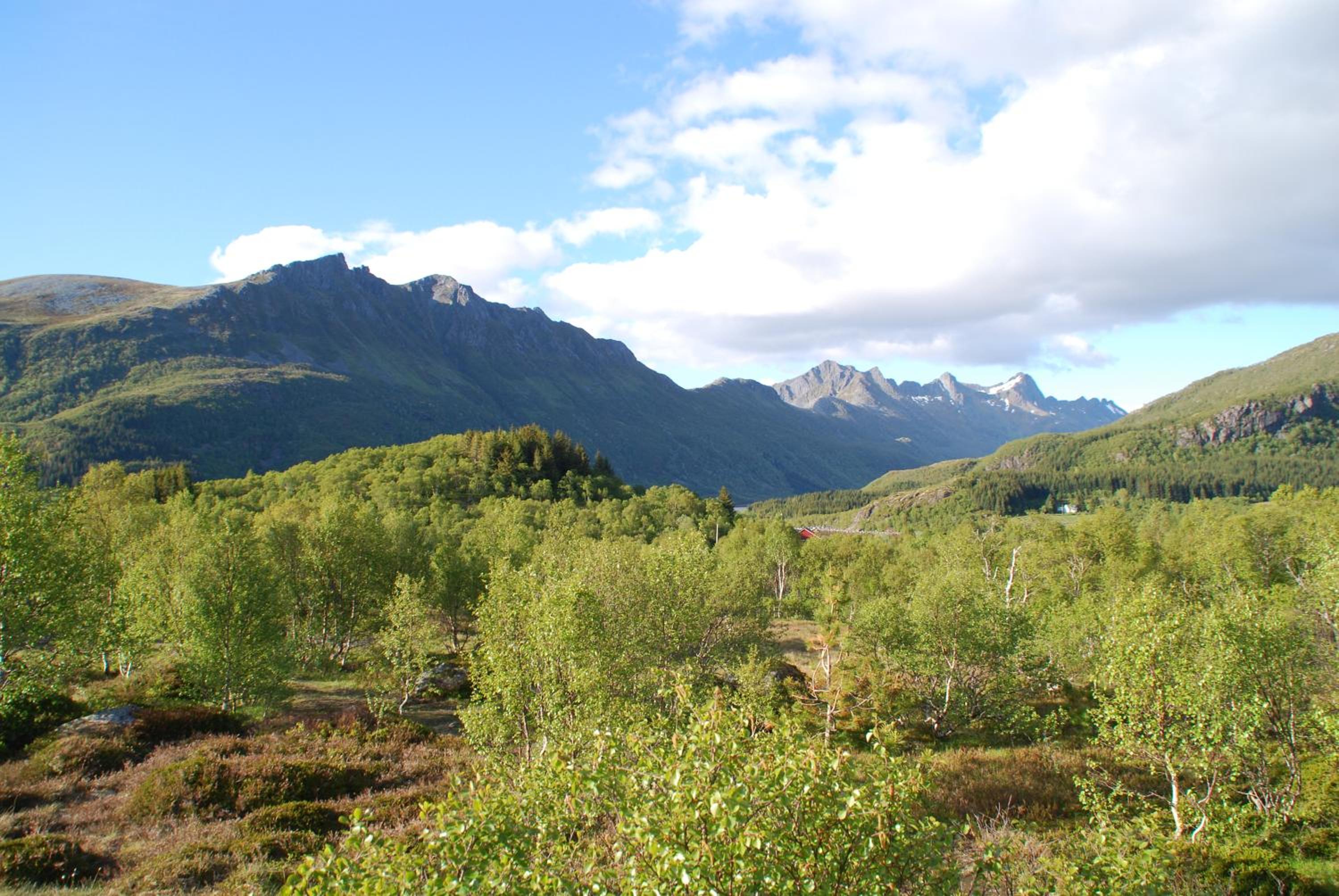 Chalet - Photo 3