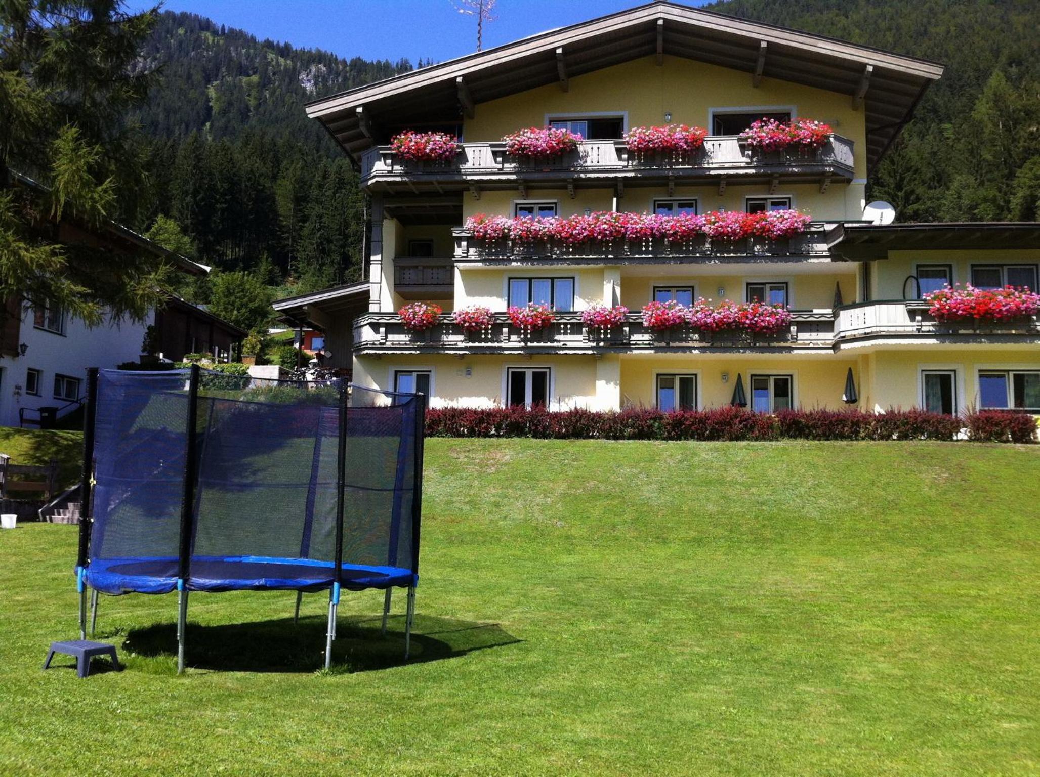 Apartment with Terrace photo 2
