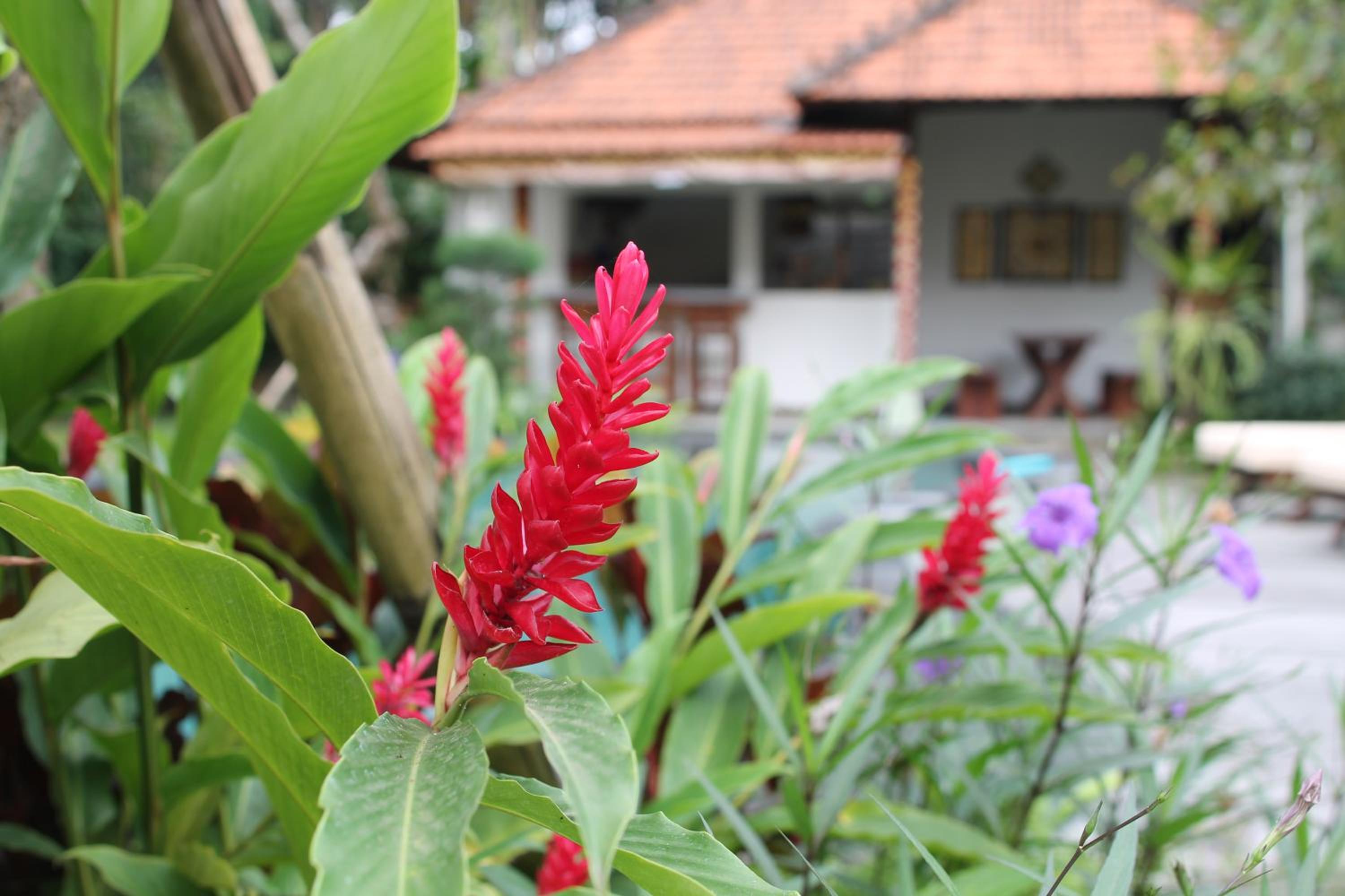 Villa - Photo 47