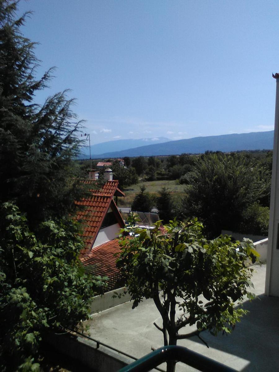 Holiday Home photo 1
