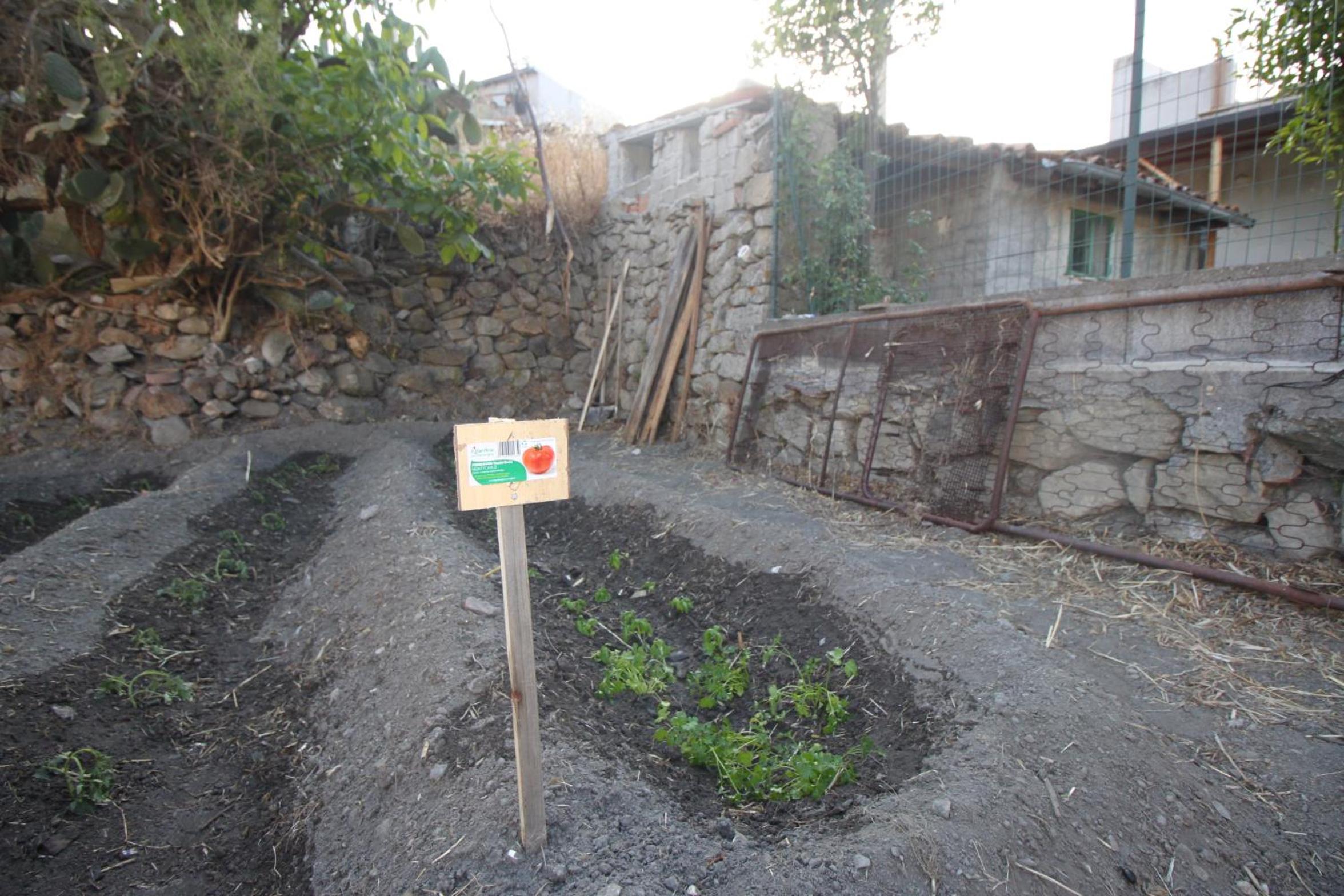 Villa photo 2