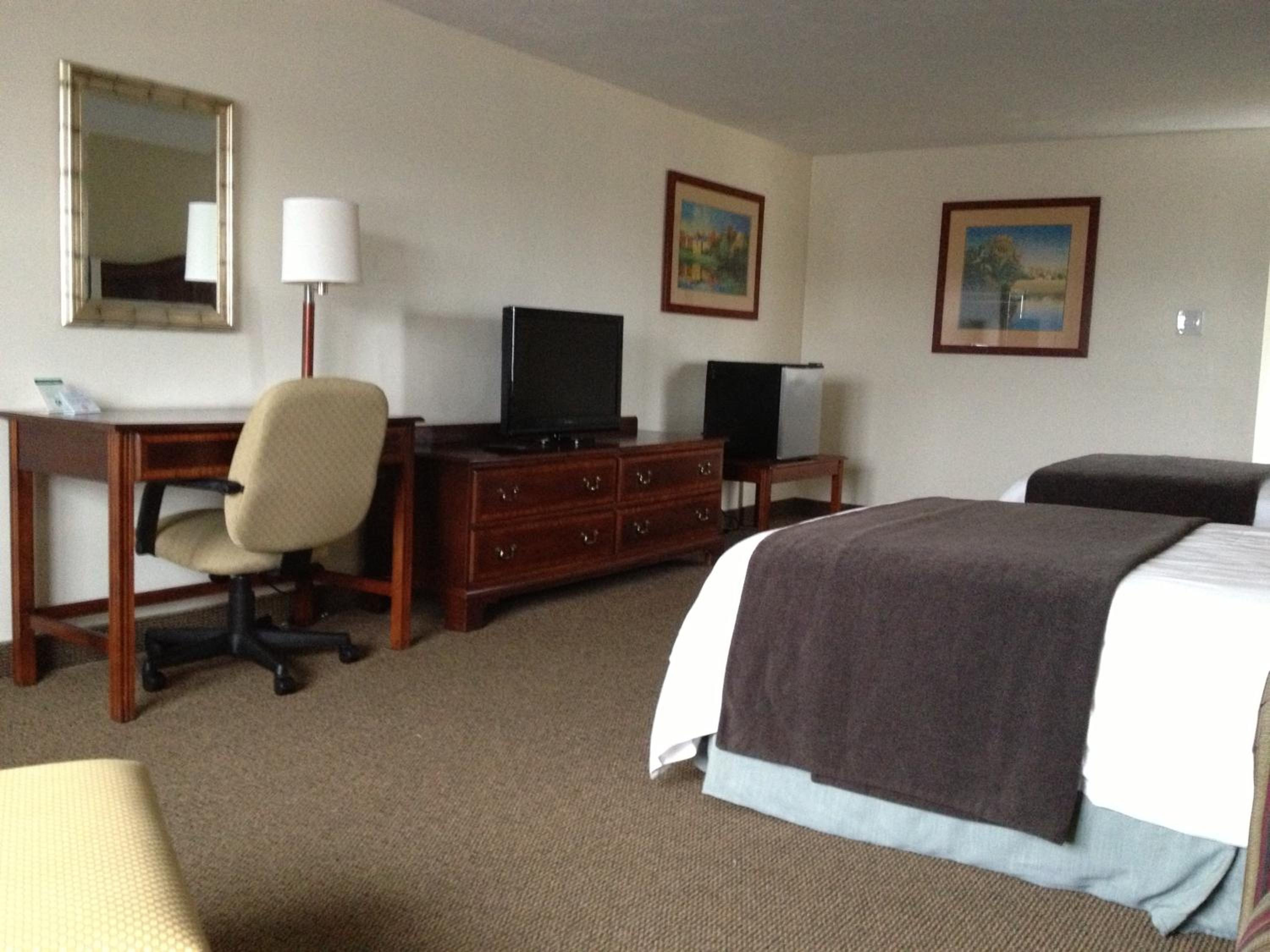 Family Suite - Photo 4