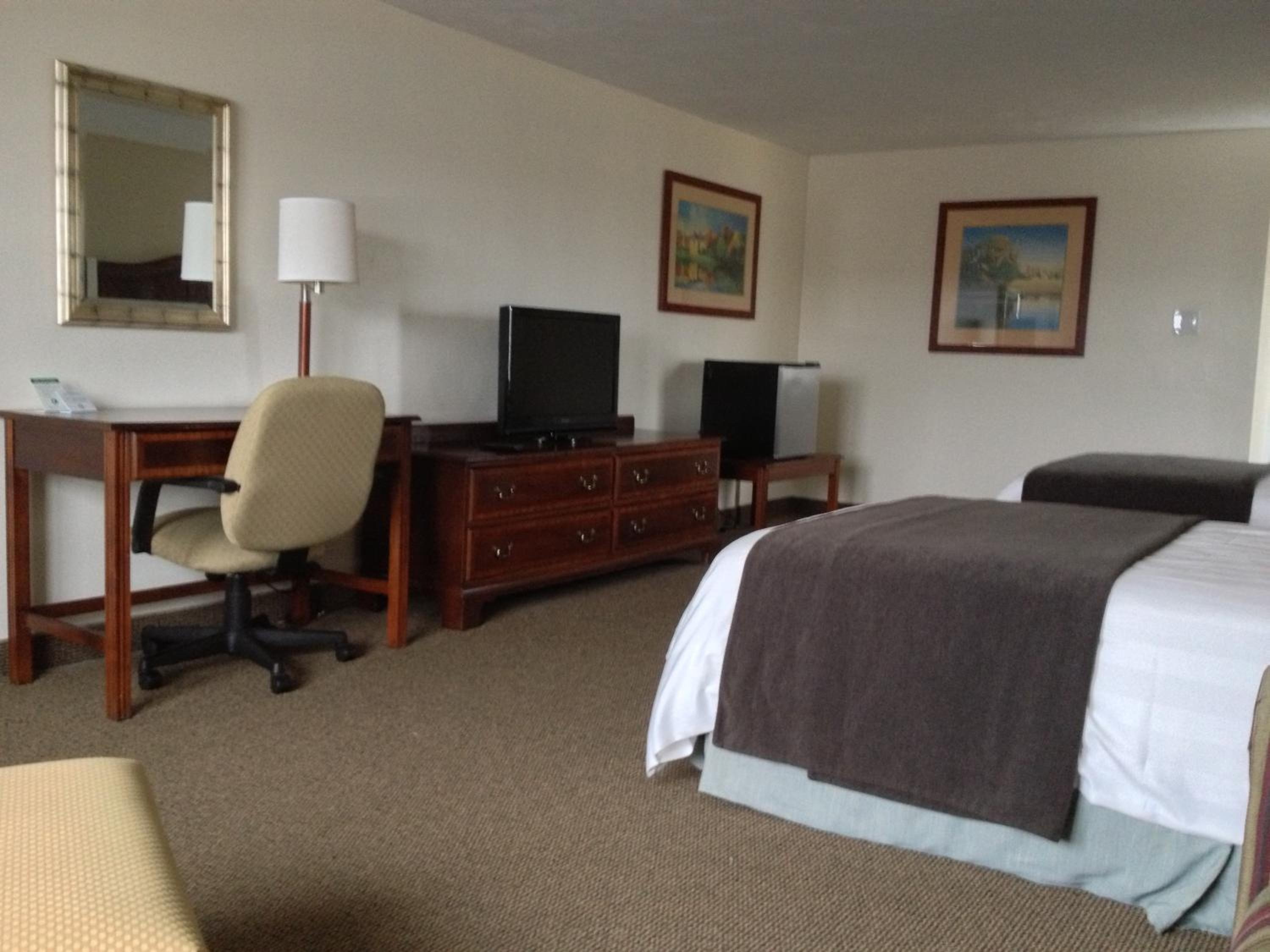 Family Suite - Photo 5
