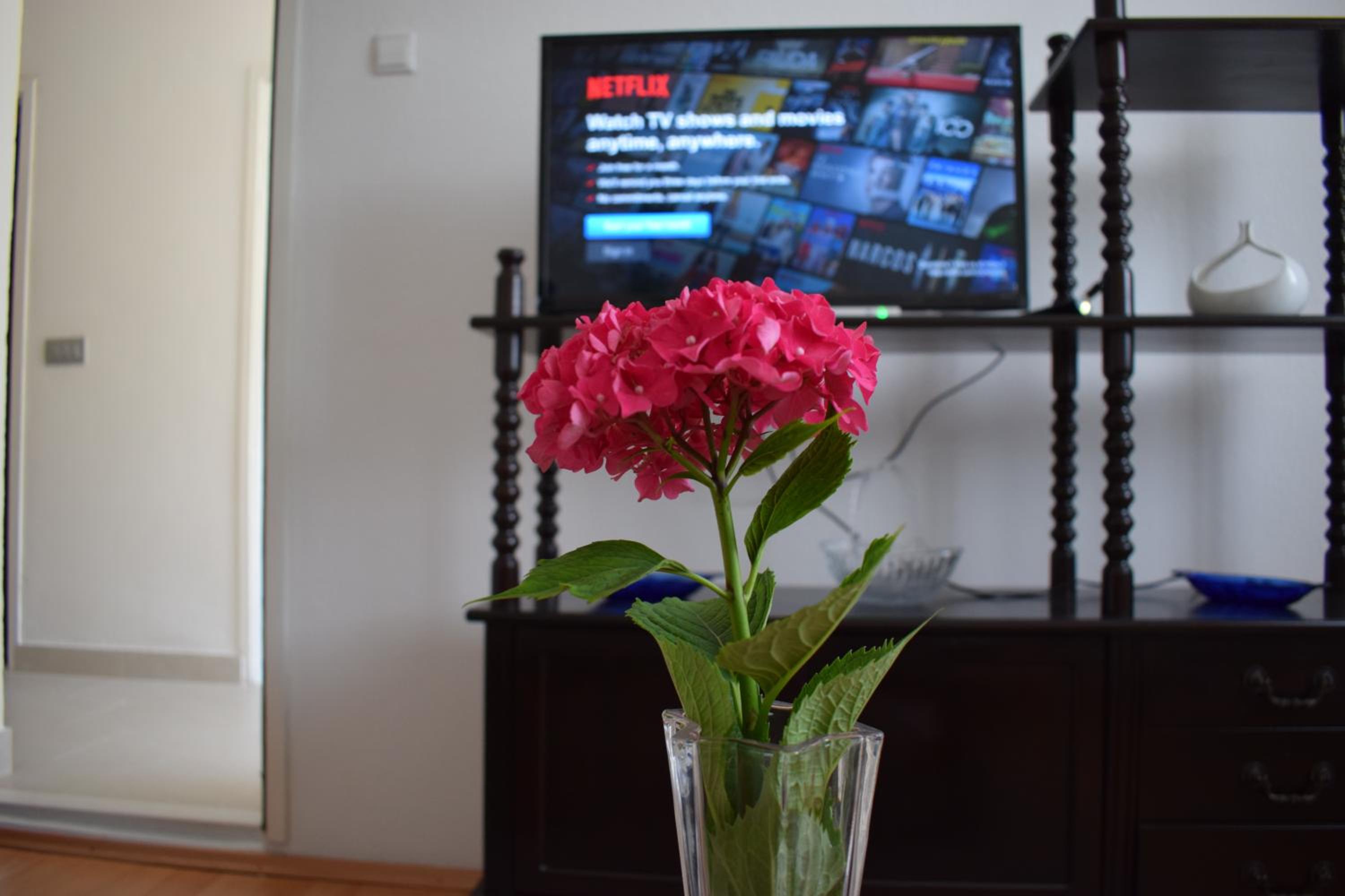 Apartment - Photo 10