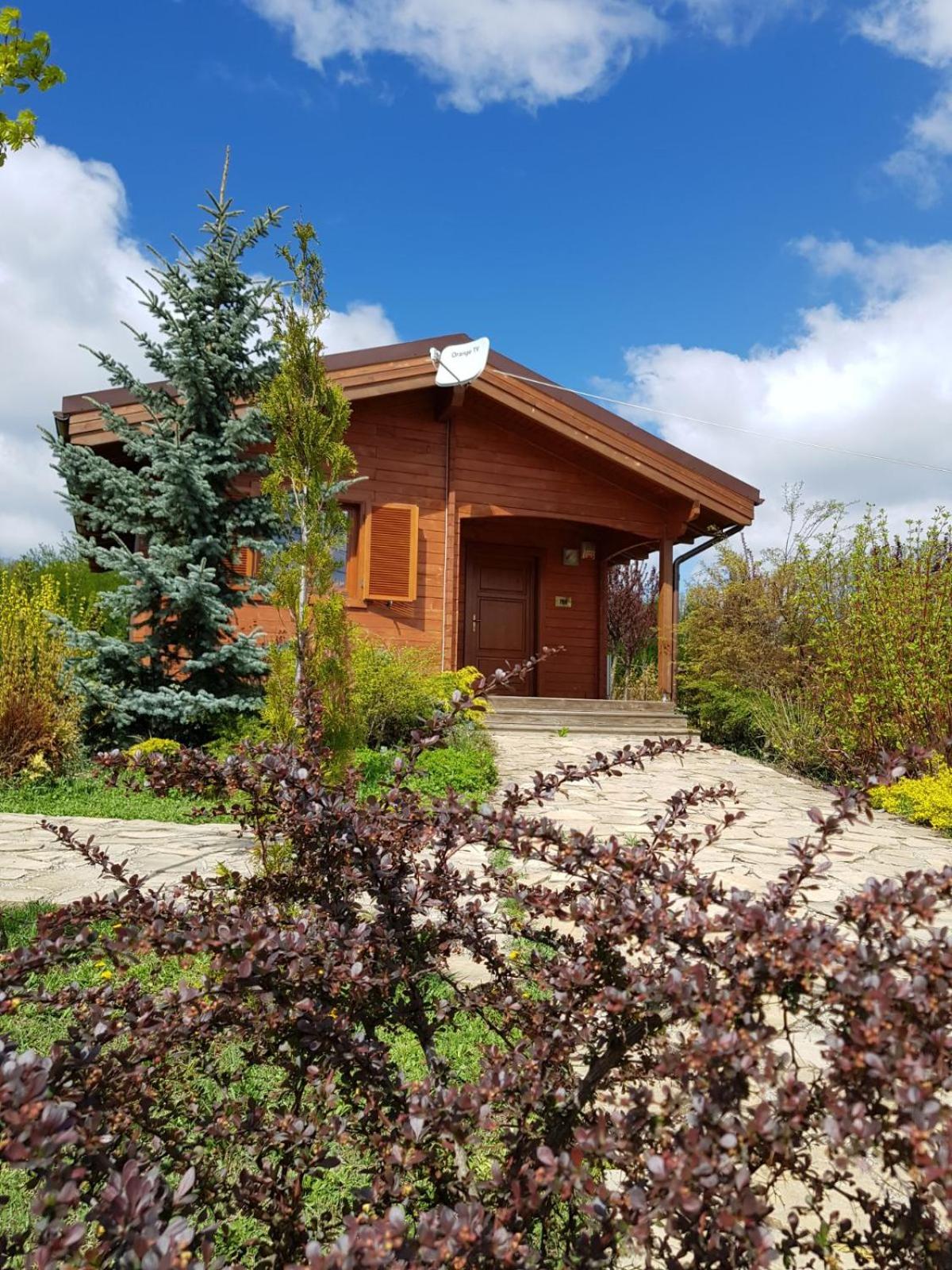 Family Bungalow photo 3