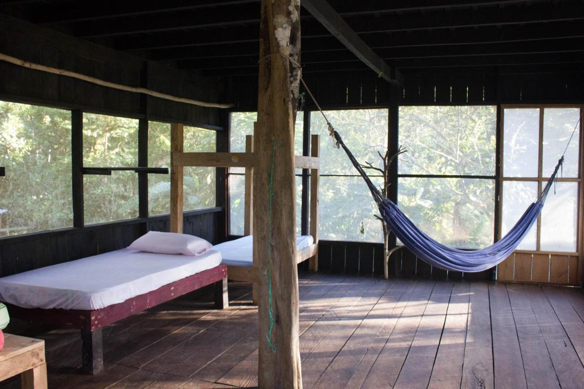 Bunk Bed in Mixed Dormitory Room photo 2
