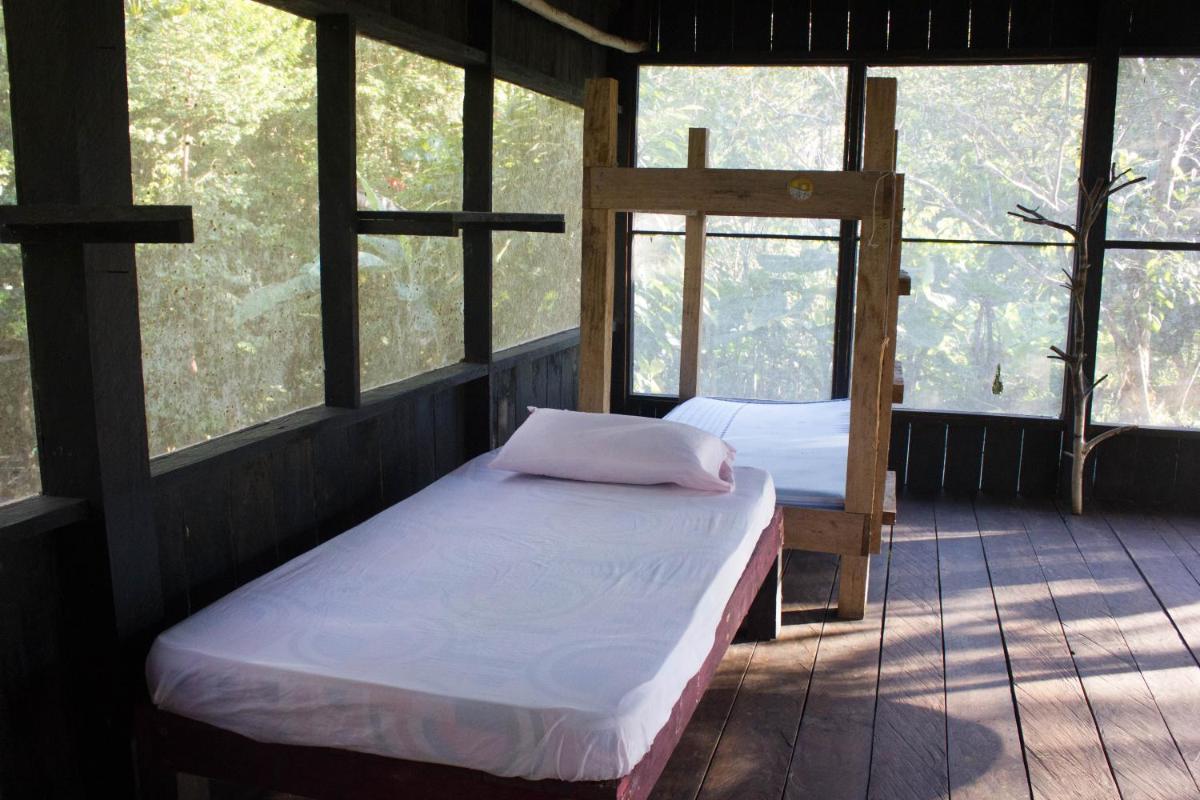 Bunk Bed in Mixed Dormitory Room photo 1