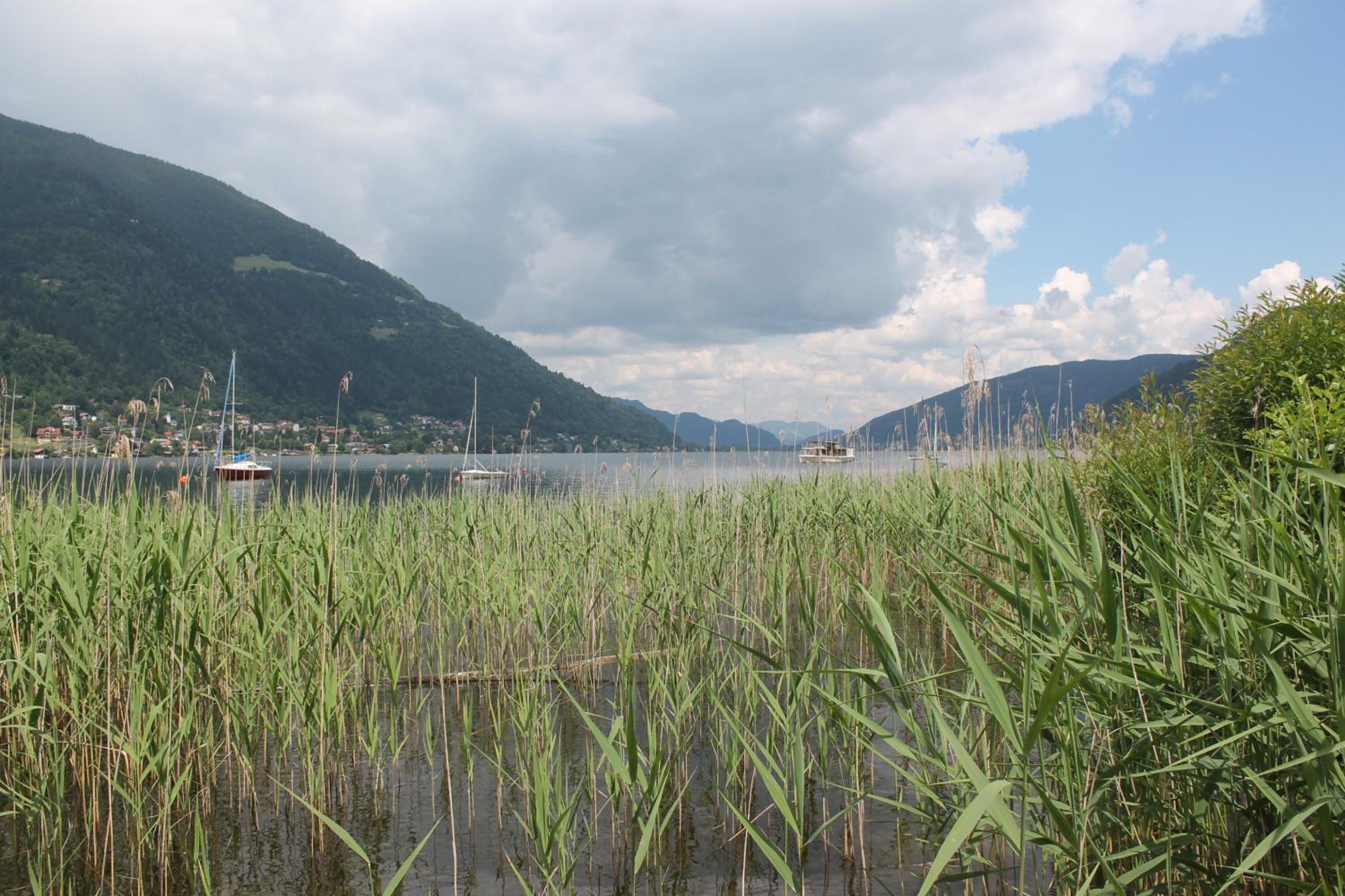 Apartment with Lake View photo 3
