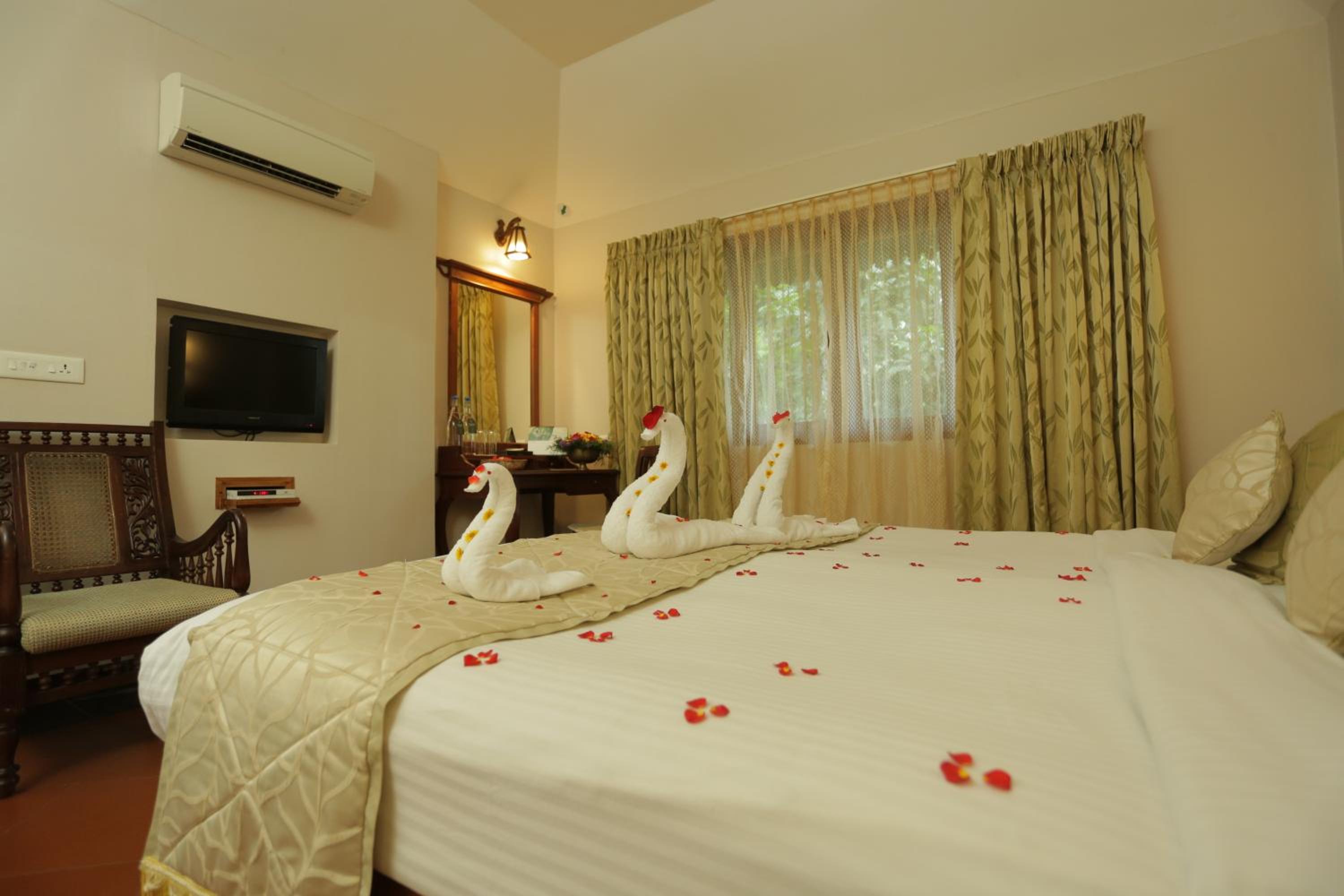 Deluxe Room - Photo 10