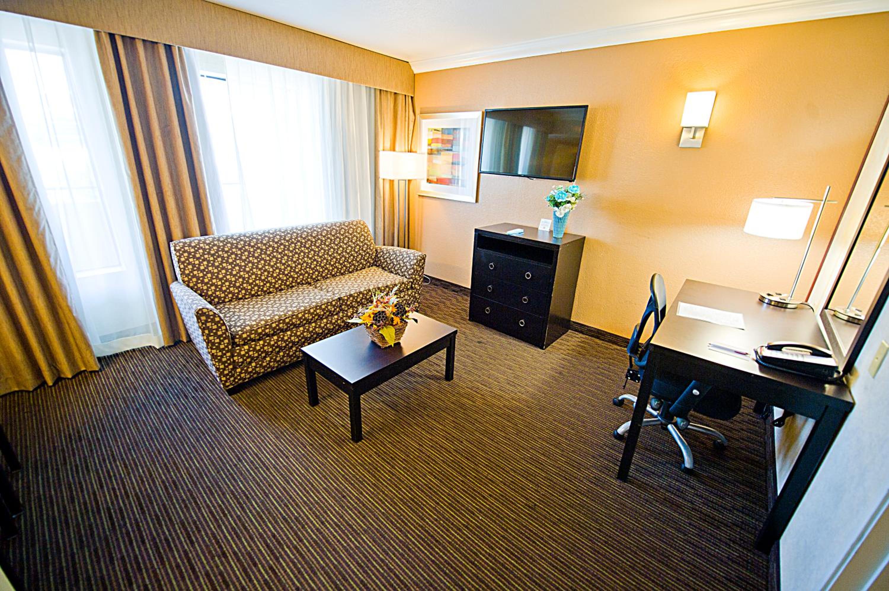  Family Suite - Courtyard View - Photo 4