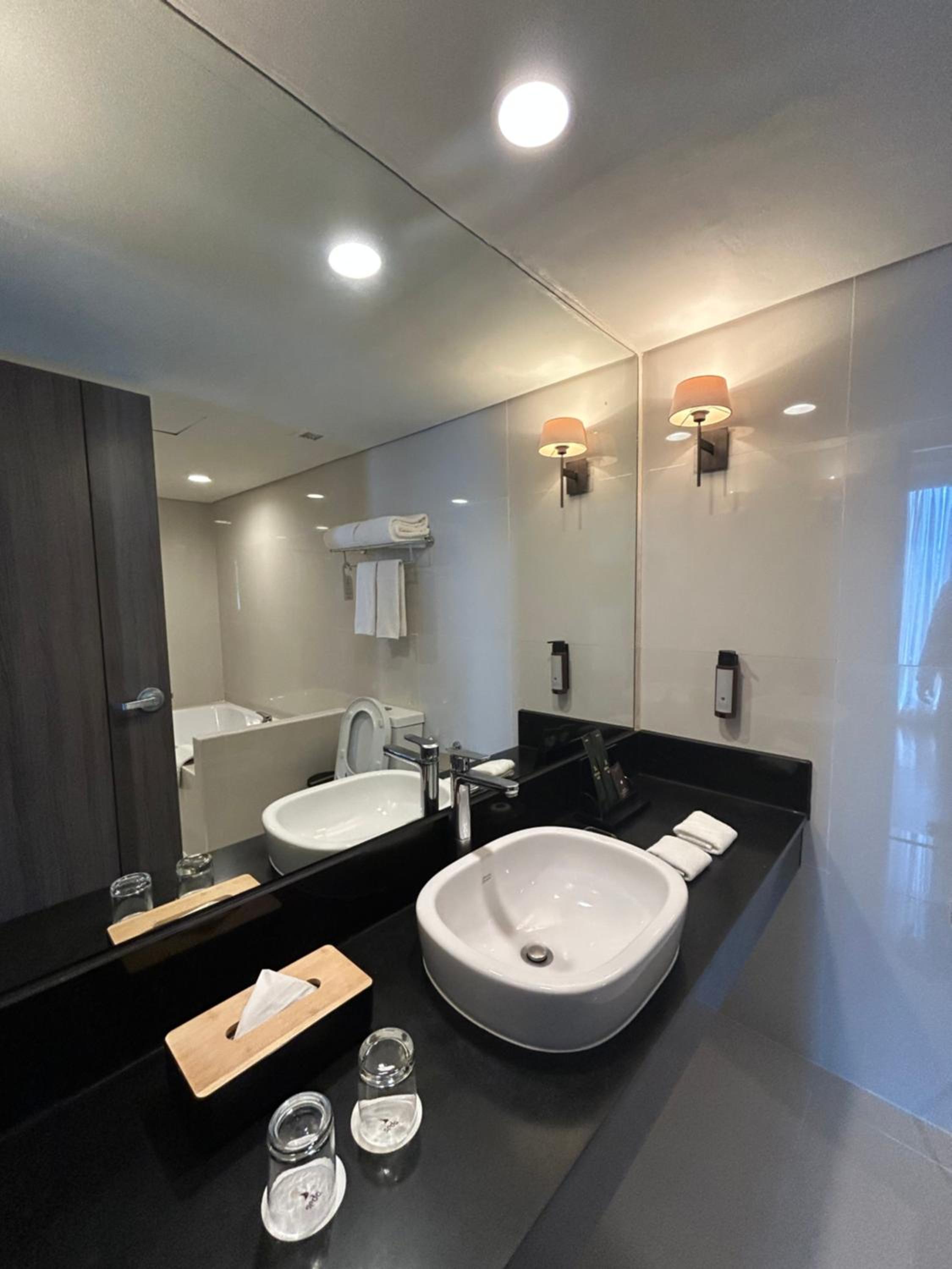 1 King Bed, One-Bedroom Seda Suite with Living Area