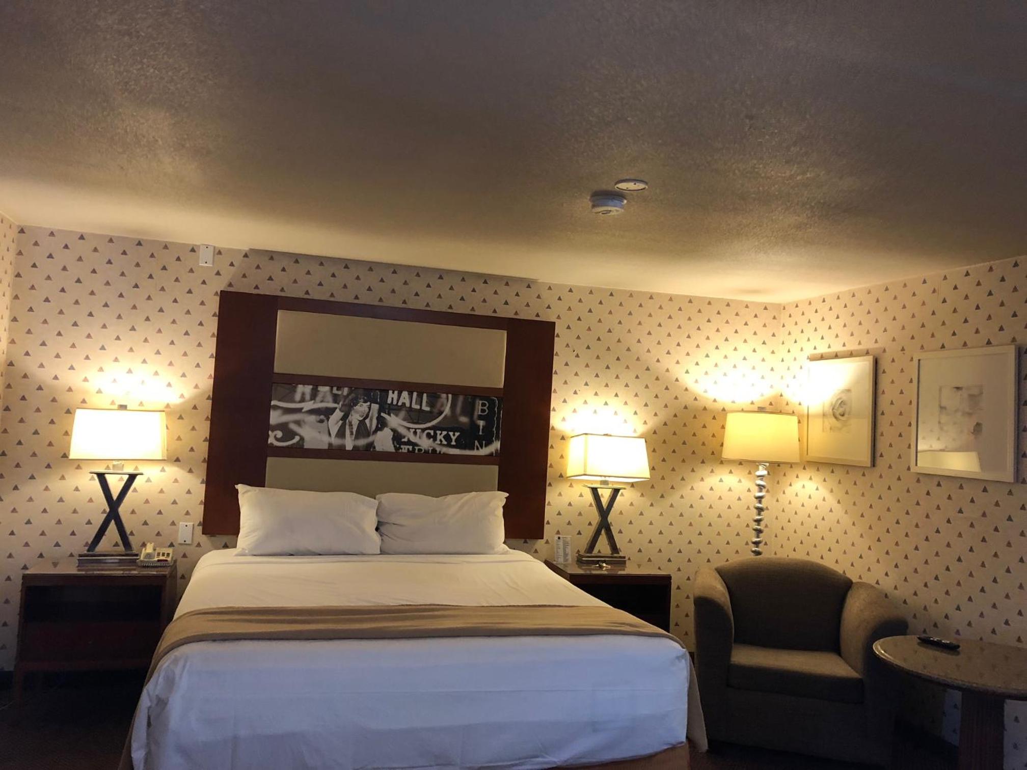 Luxury Suite with Spa Bath photo 1