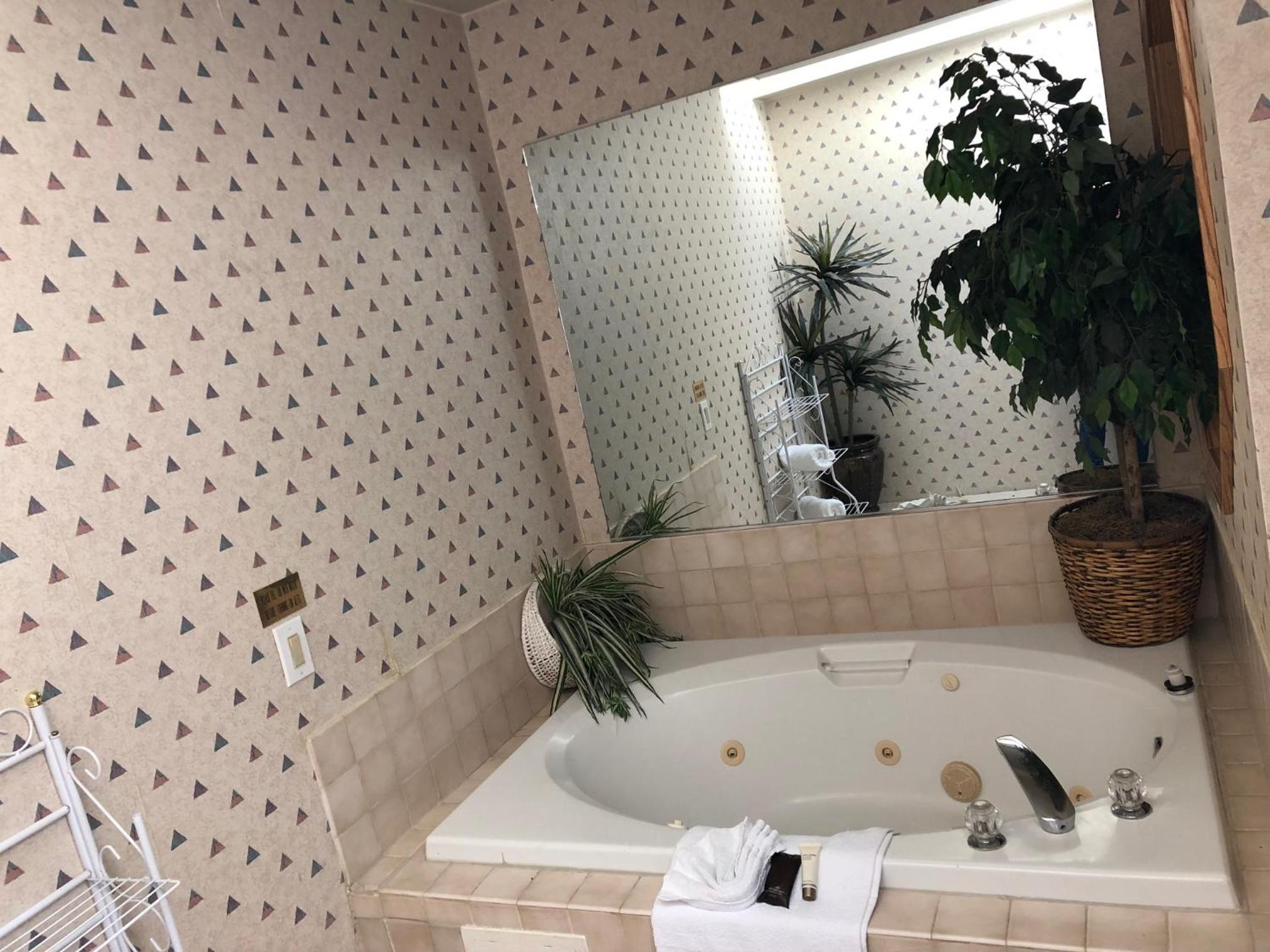 Luxury Suite with Spa Bath photo 3