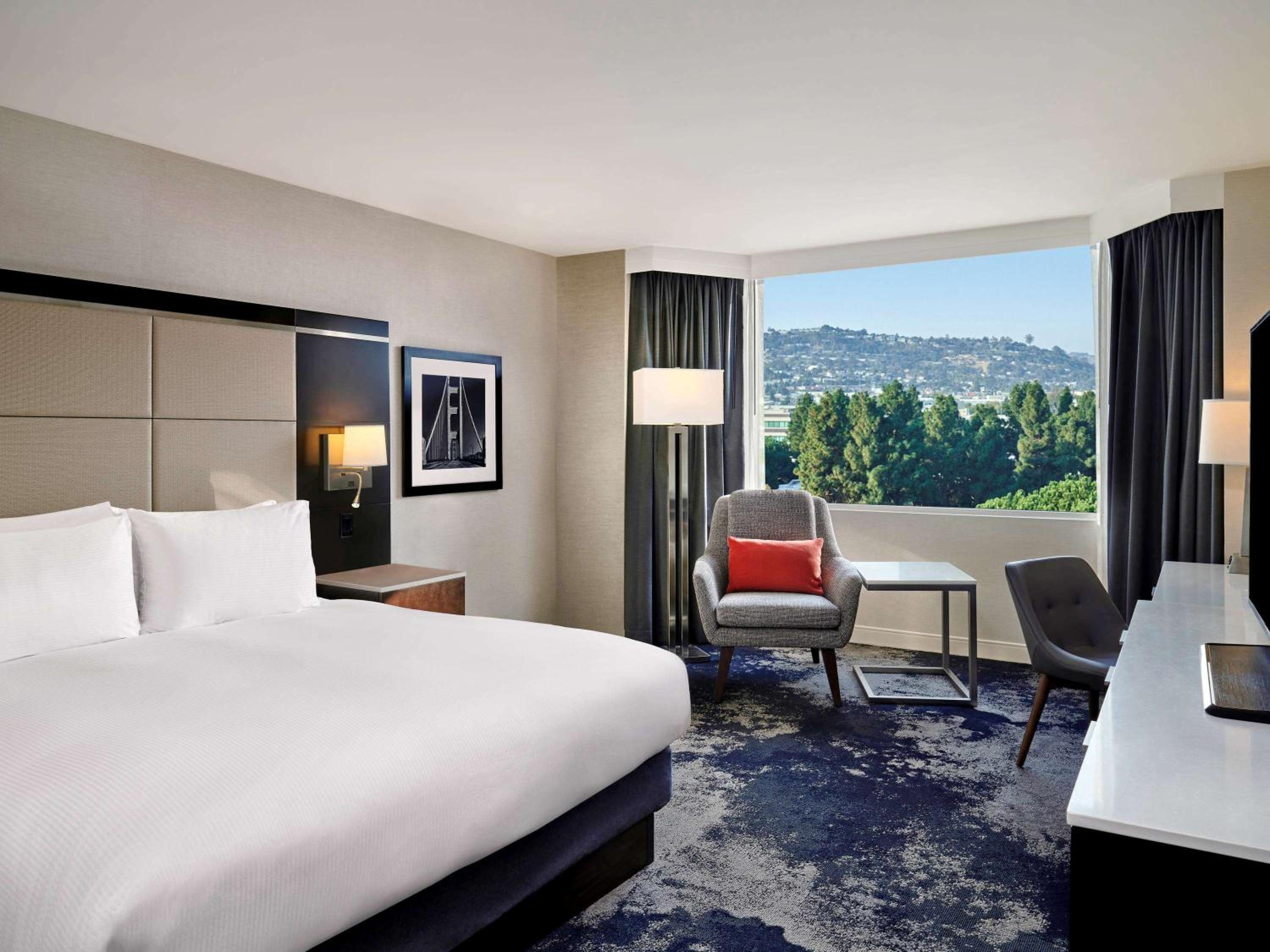 One-Bedroom Suite - Photo 6