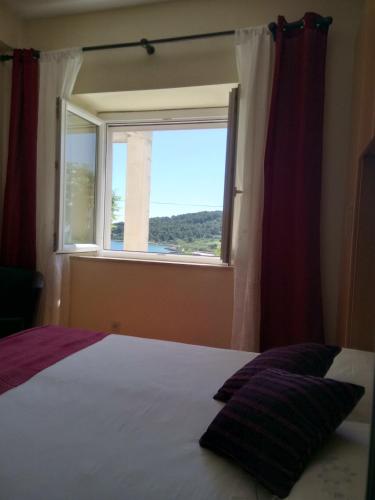 Apartment with Terrace photo 2
