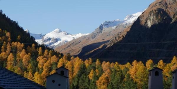 Apartment with Mountain View photo 3