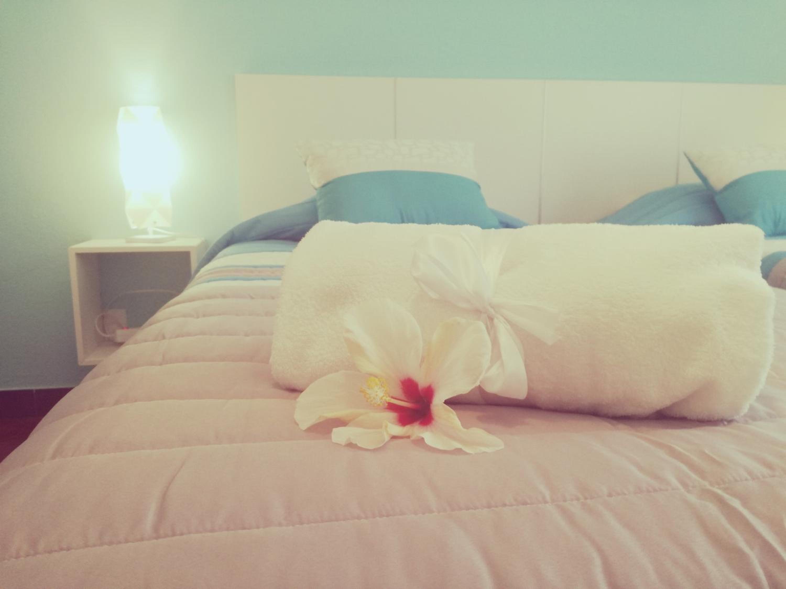Large Twin Room photo 1
