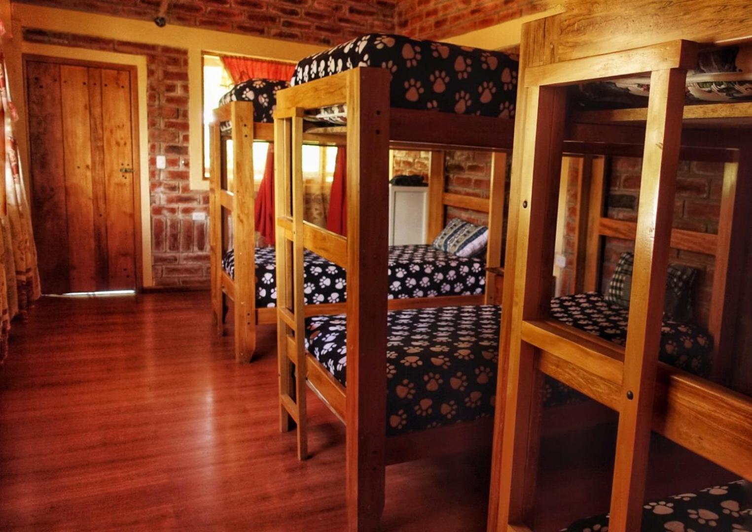 Bed in 6-Bed Dormitory Room photo 3