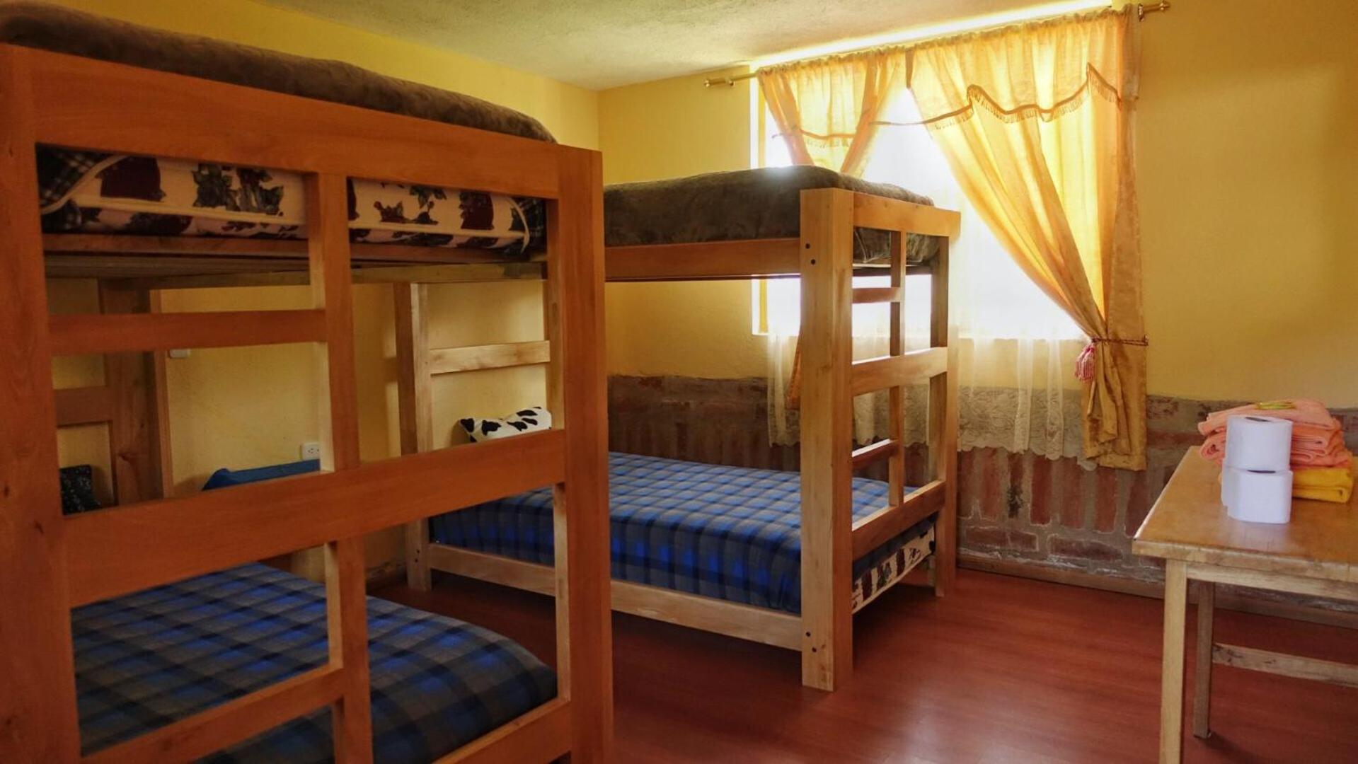 Bed in 4-Bed Dormitory Room photo 3