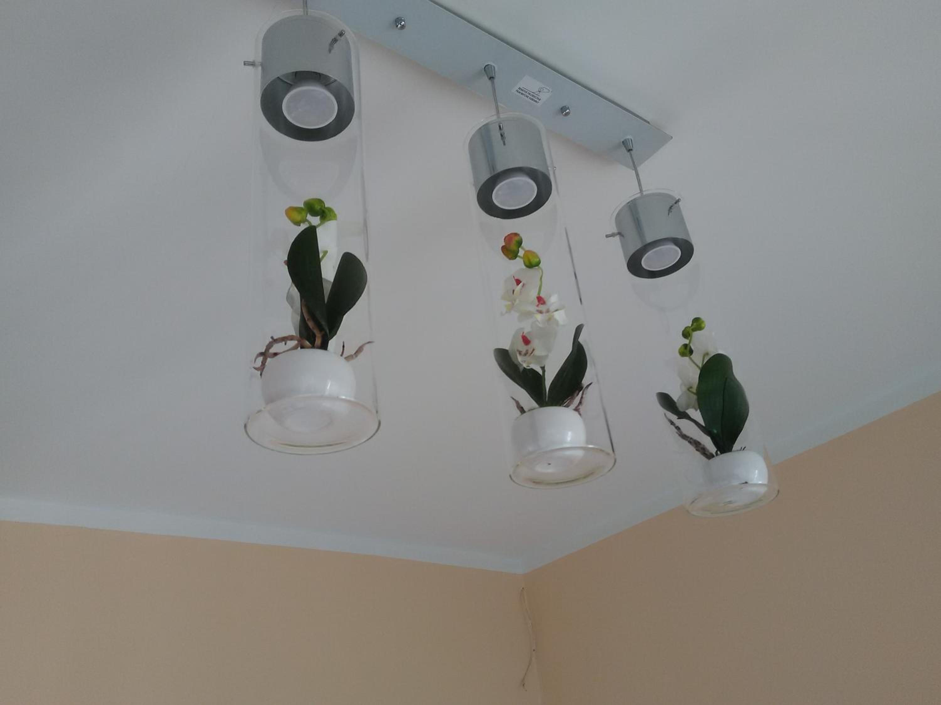 Comfort Quadruple Room - Photo 3