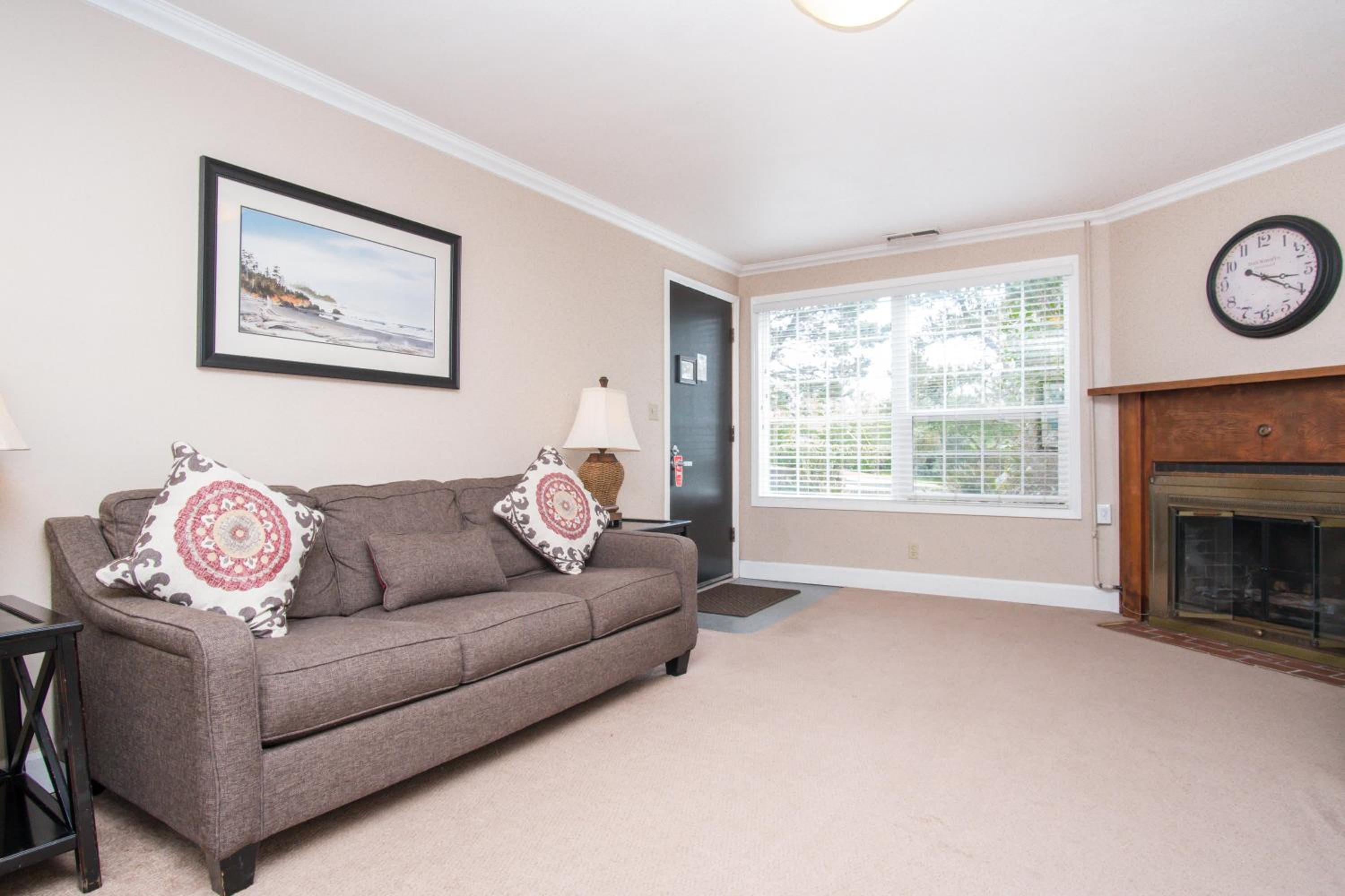 King Suite #5 (non-pet-friendly) photo 3