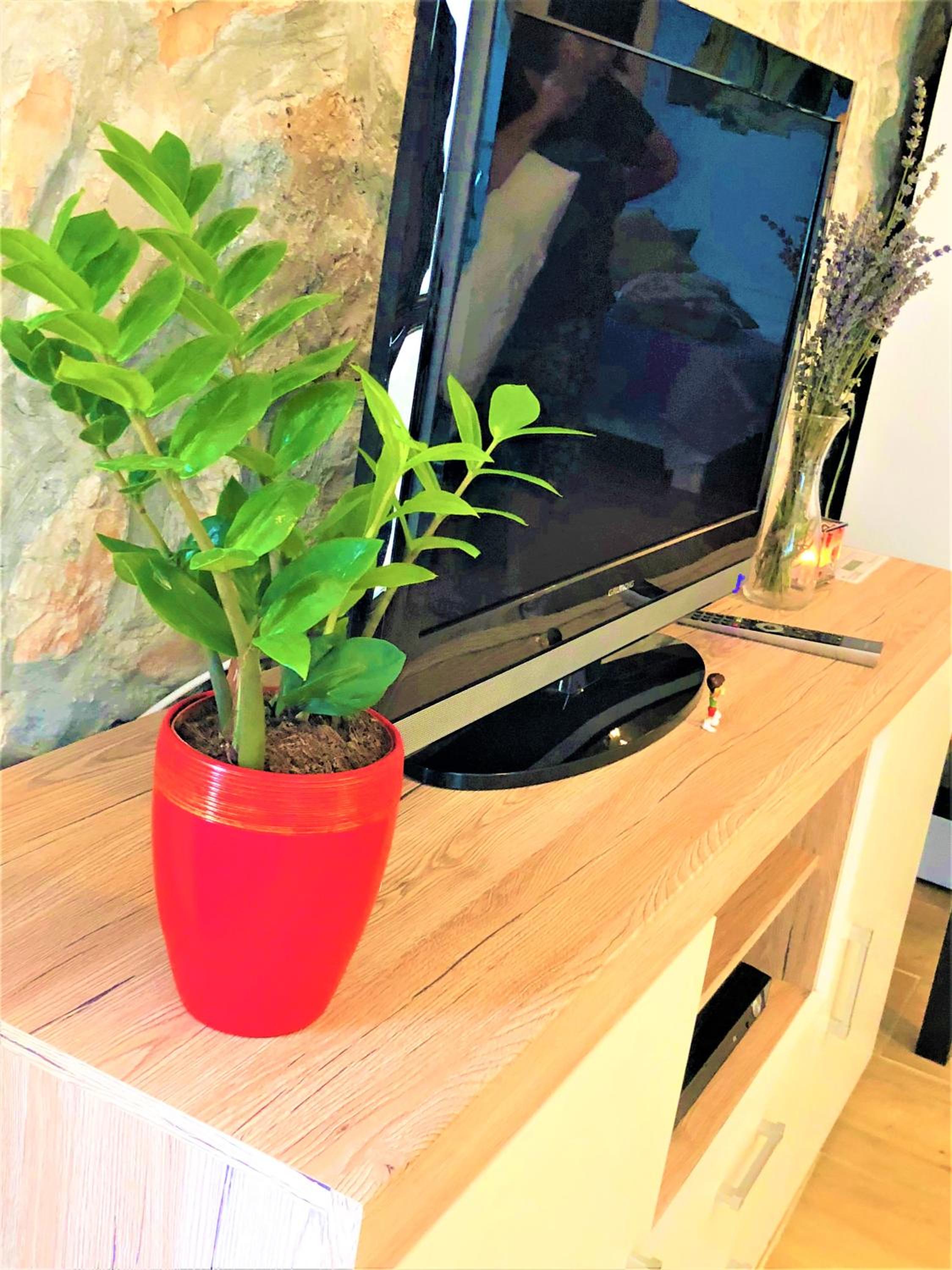 Apartment - Ground Floor - Photo 25