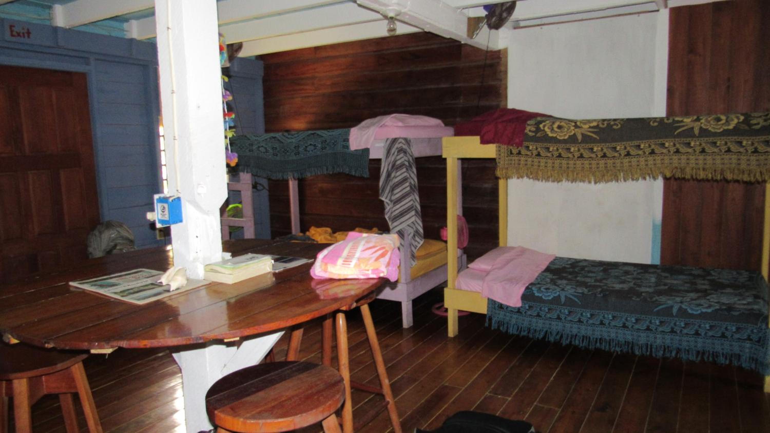 Bunk Bed in Mixed Dormitory Room photo 2