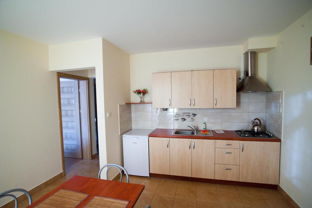 Apartment with kitchen photo 3