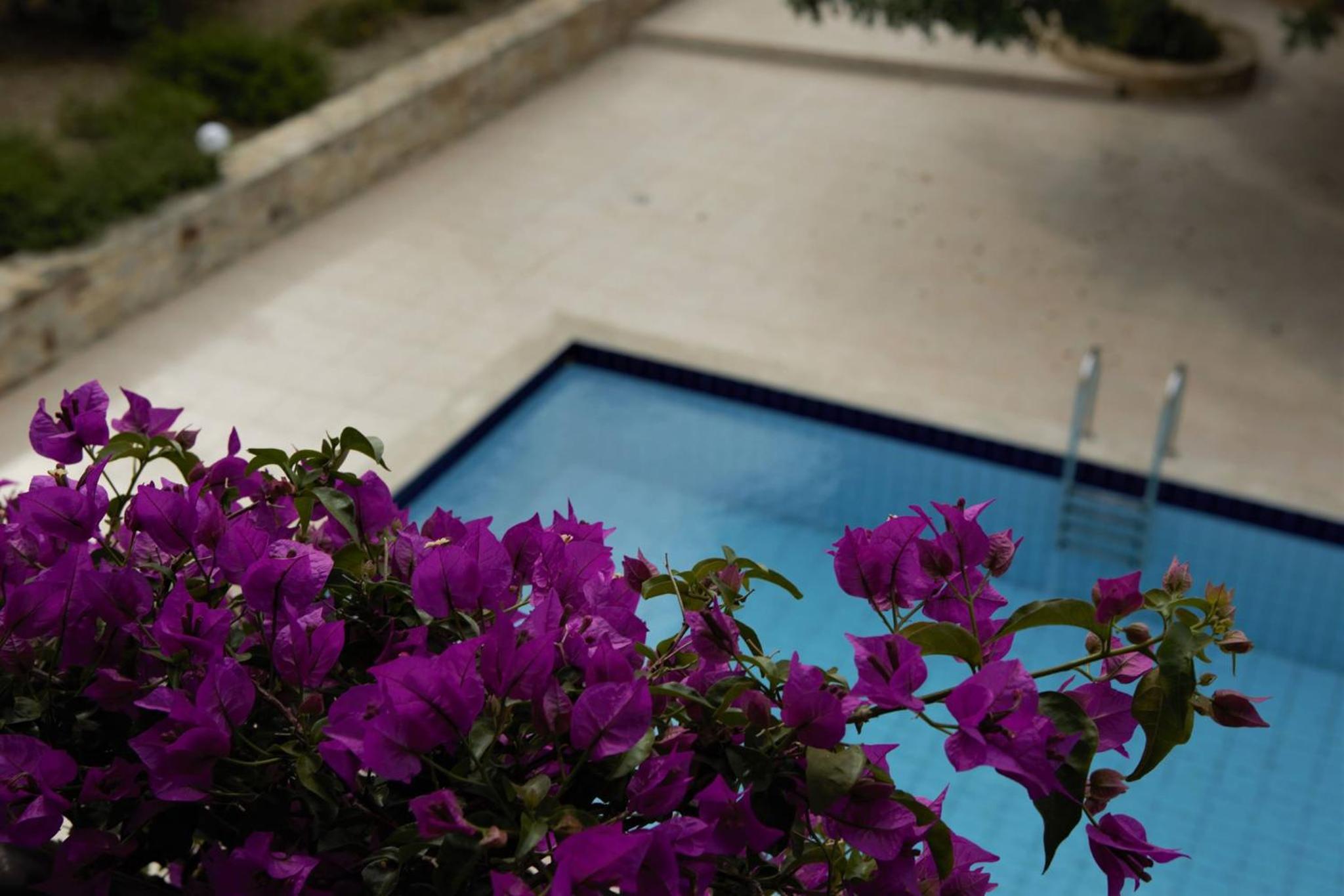 Semi-detached Three-Bedroom Villa with Shared Pool-Split Level photo 2
