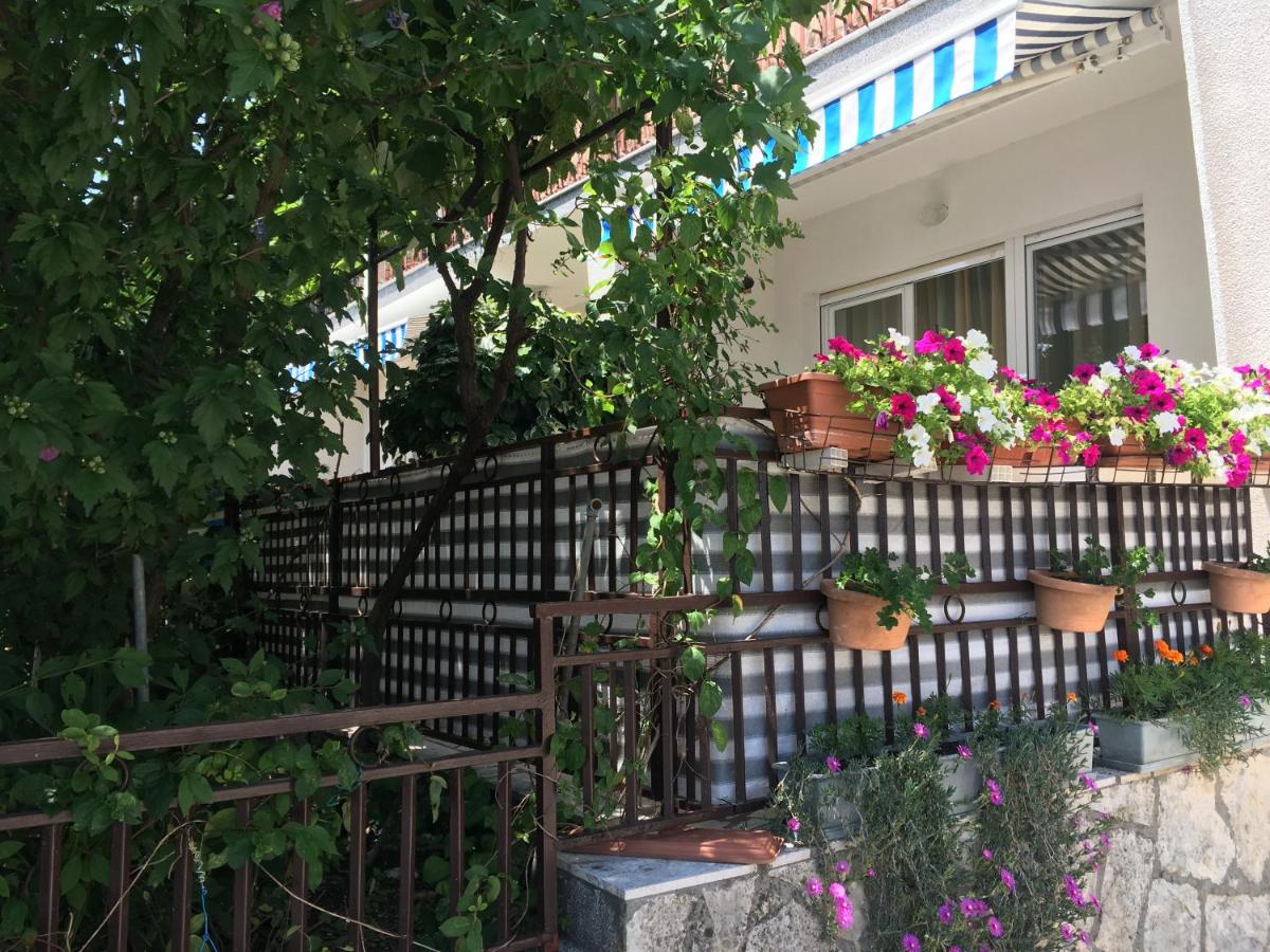 Apartment with Terrace photo 2
