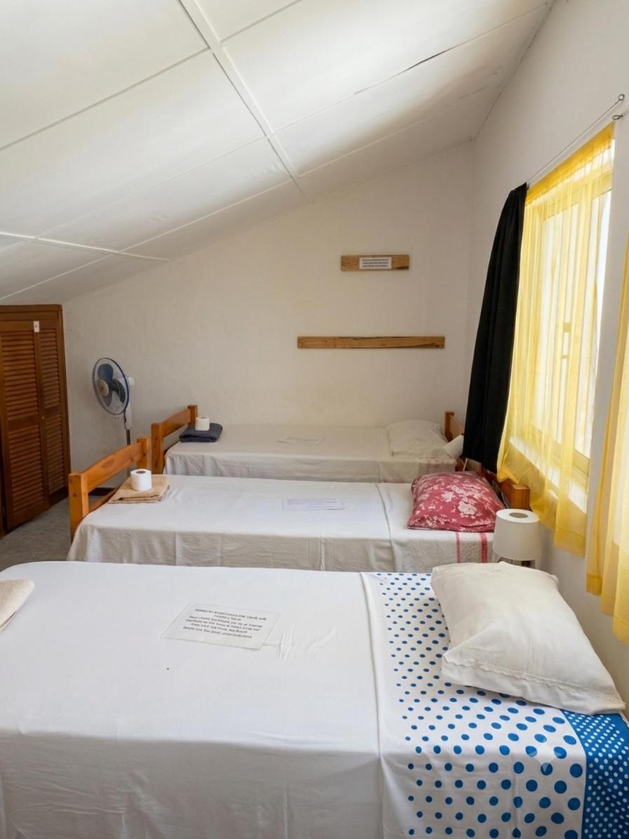 Single Bed in Mixed Dormitory Room photo 3