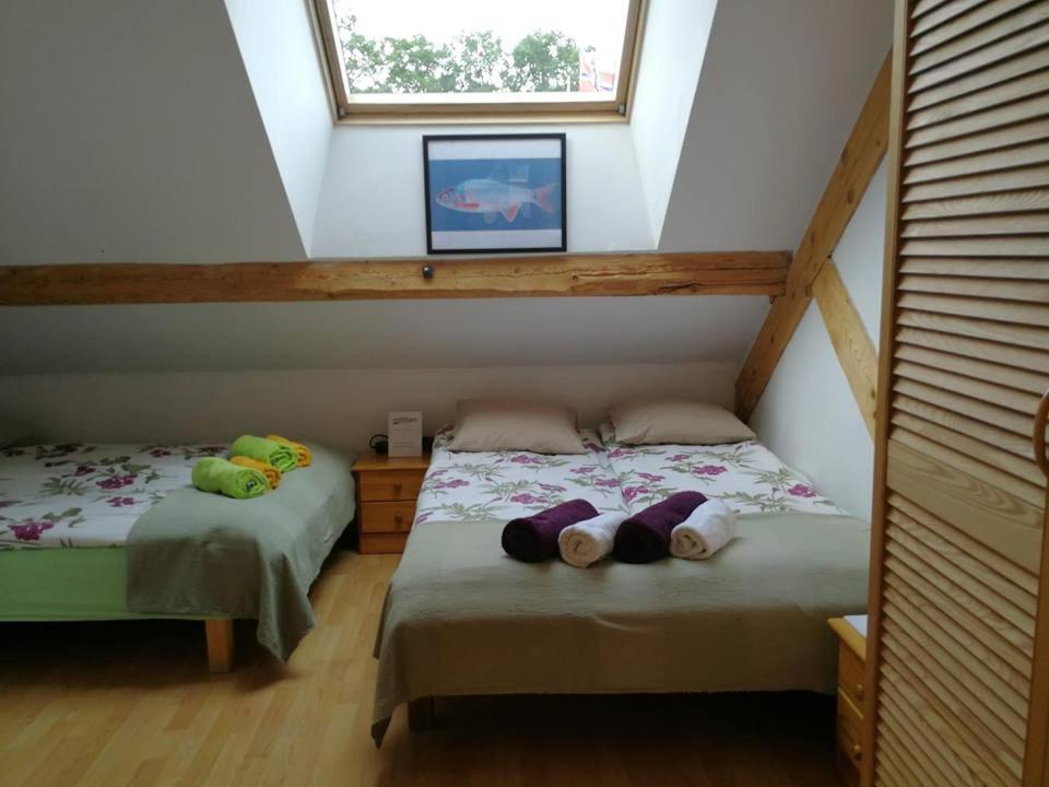 Small Quadruple Room with Bathroom photo 3