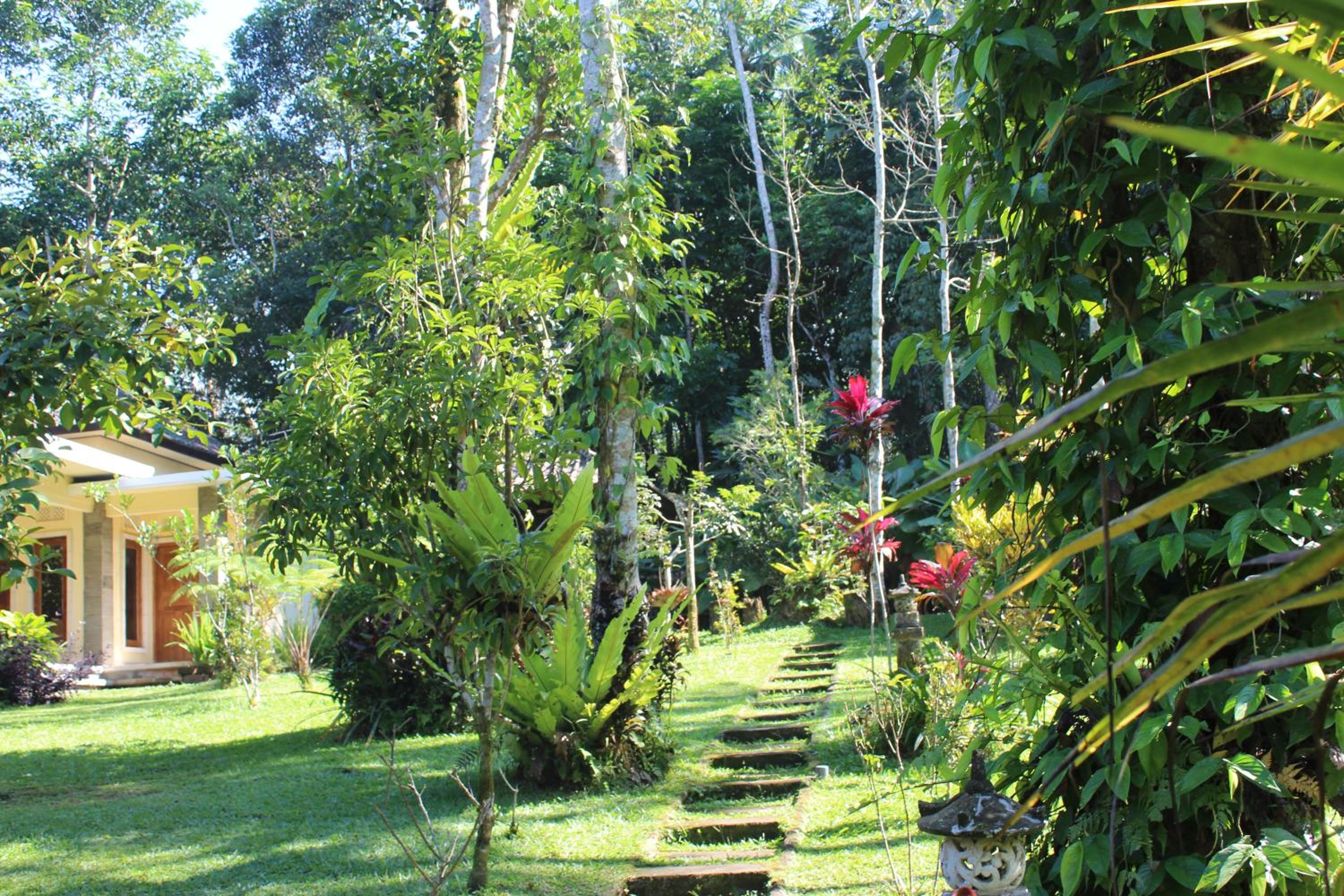 Family Bungalow - Photo 16