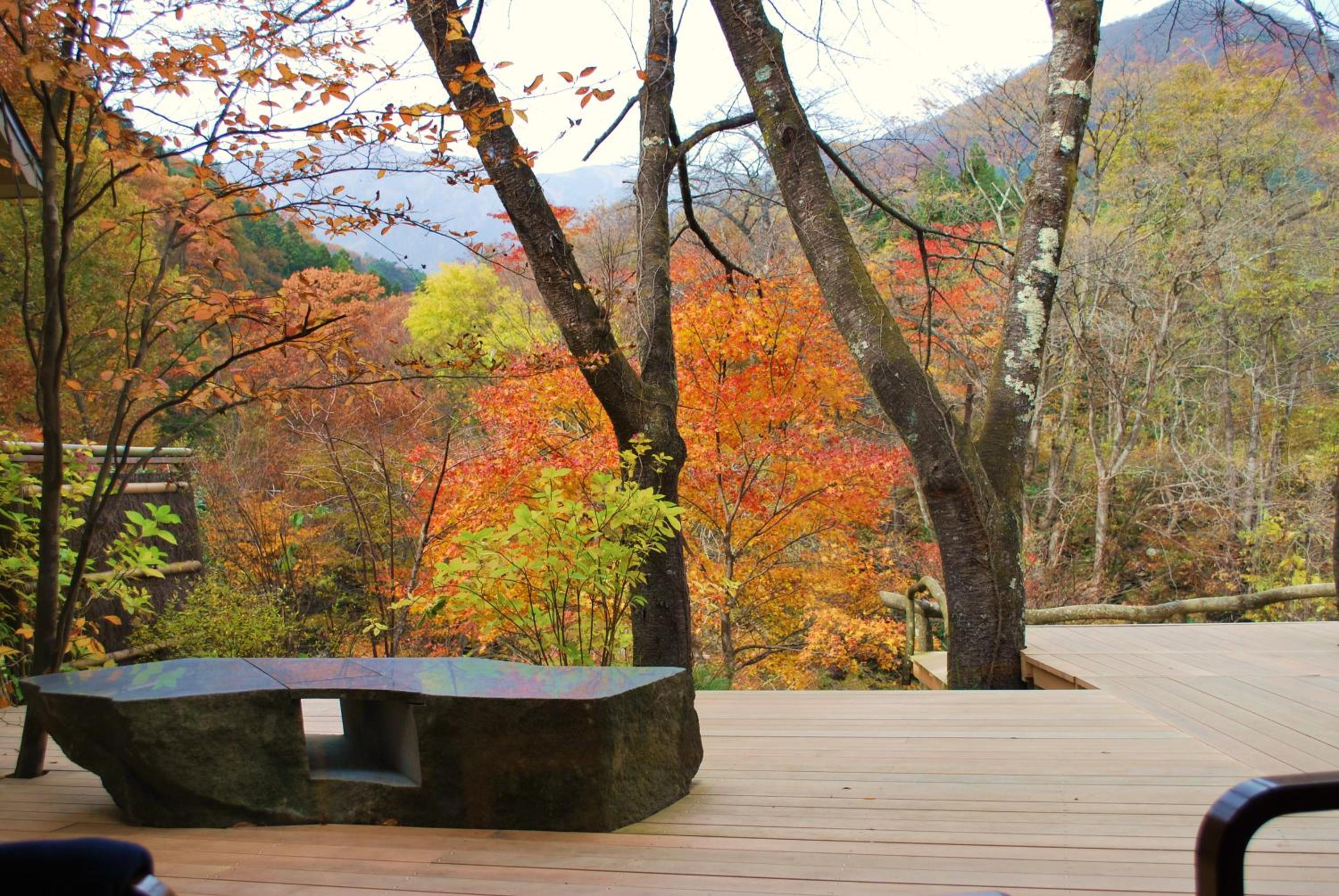 Japanese-Style Junior Suite with Open-Air Bath  photo 3